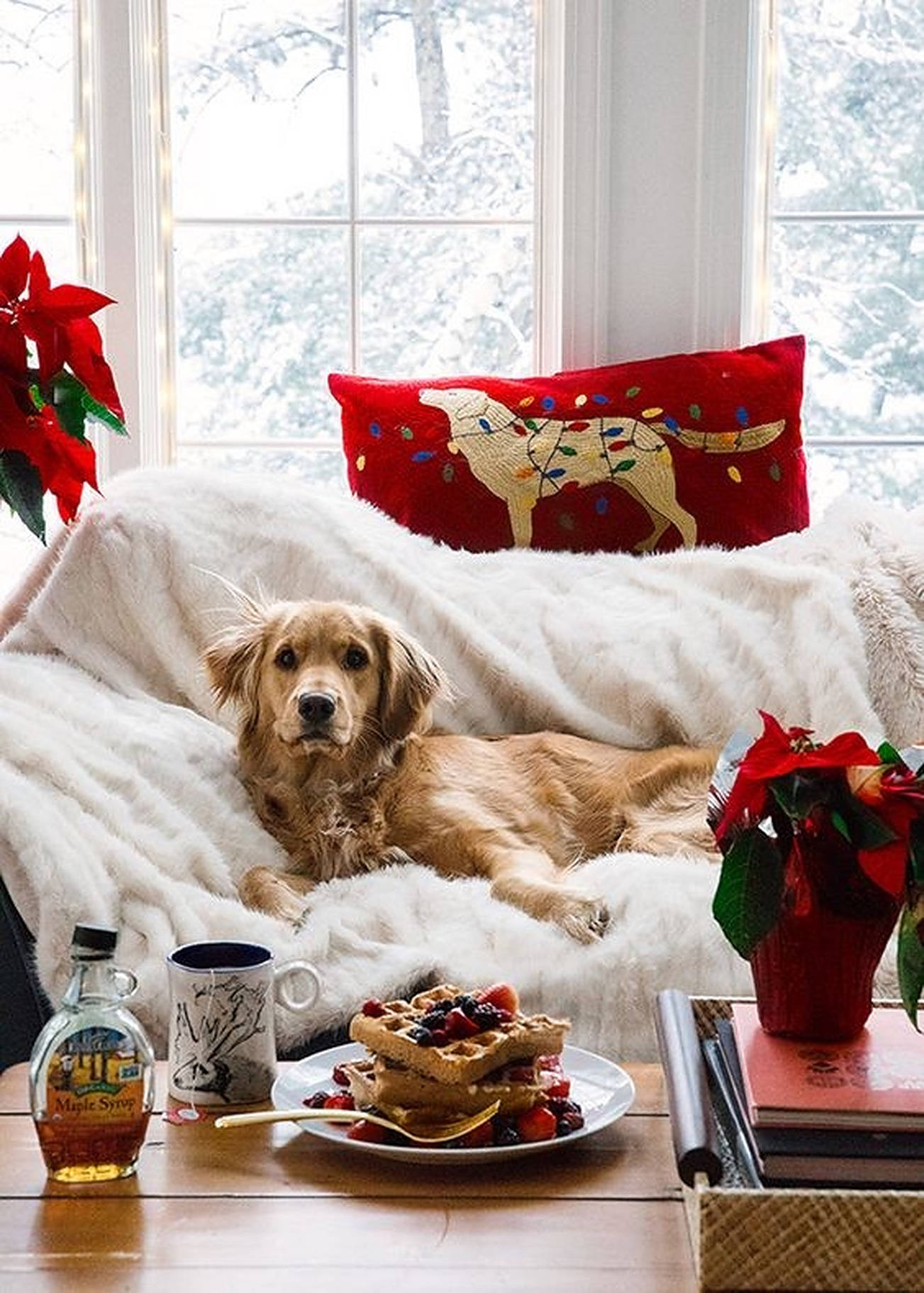 Download Cozy Christmas Aesthetic Dog On Couch Wallpaper