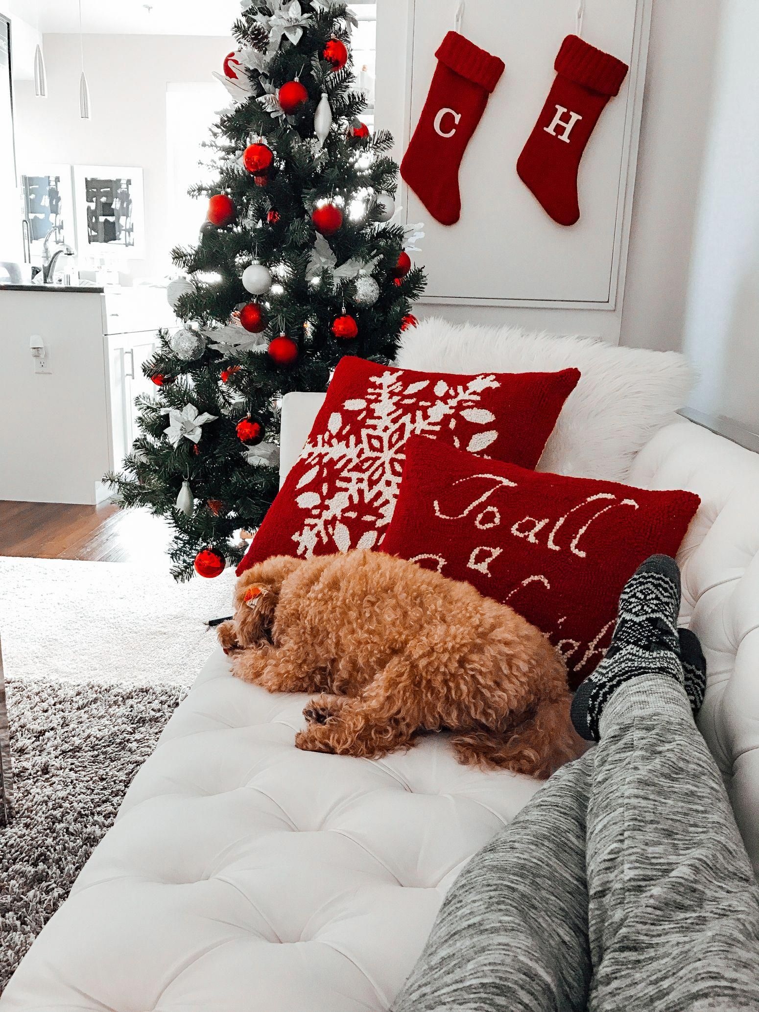 Christmas aesthetic dog Wallpaper Download