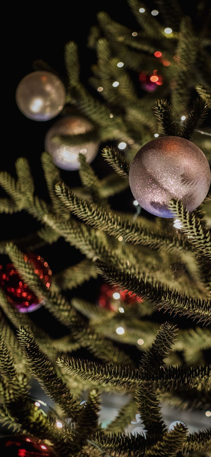 Bts wallpaper computer sope bts wallpaper anime winter wallpaper soft anime wallpaper white and в 2022 г. Рождественские картинки, Винтажные этикетки, Визитки визажистов