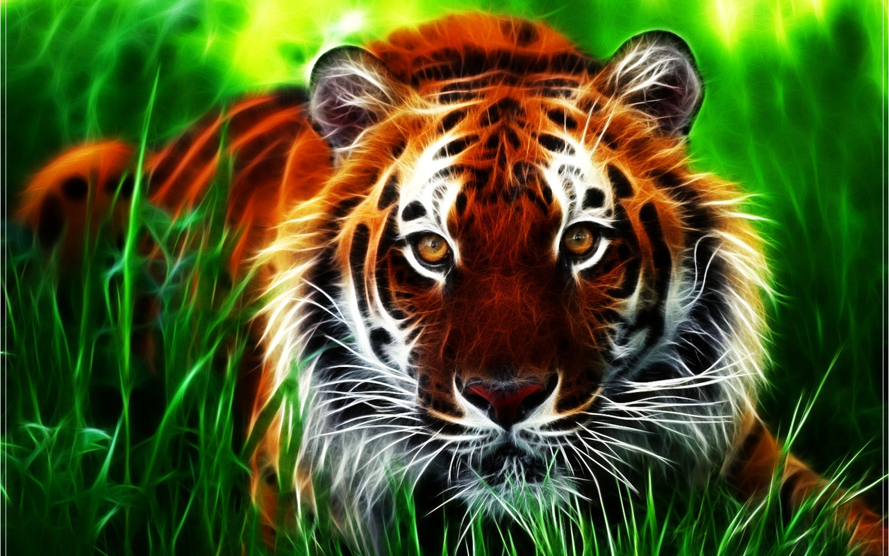 Download Tigers wallpaper for mobile phone, free Tigers HD picture