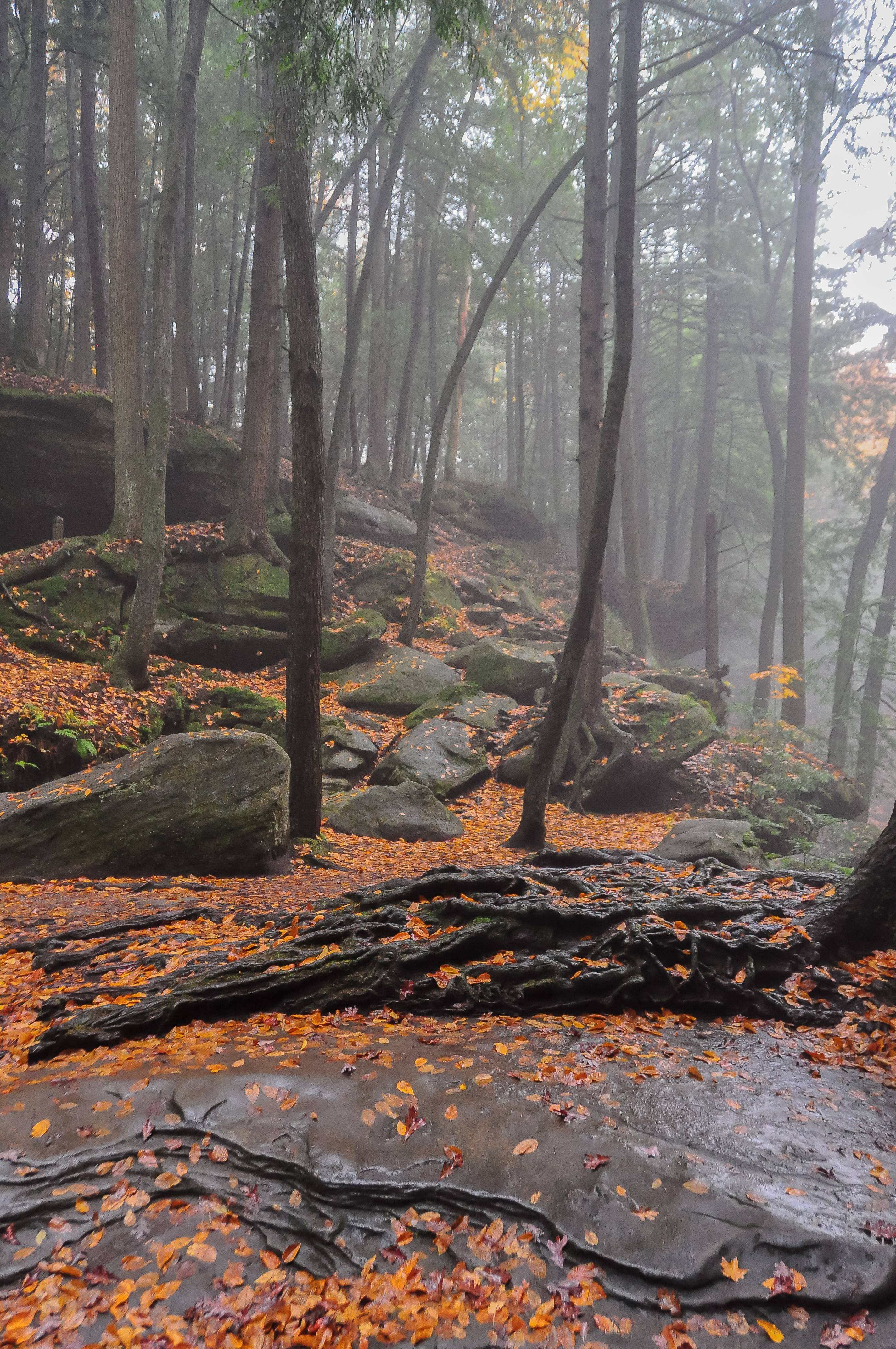 Misty Autumn Day in the Hocking Hills of Ohio HD wallpaper