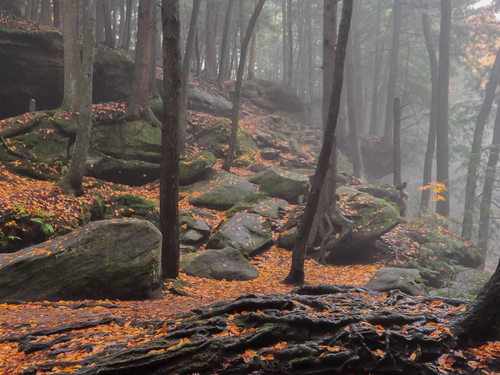 Misty Autumn Day in the Hocking Hills of Ohio wallpaper in 1024x768 resolution
