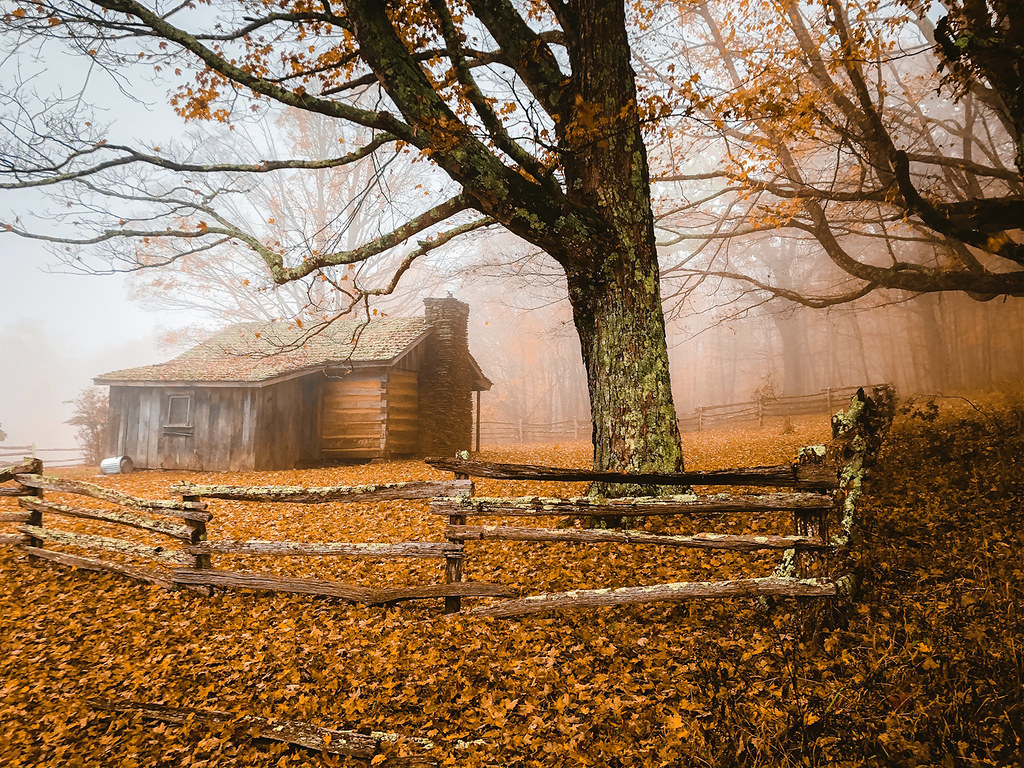 Foggy autumn day in the Applachian's. Instagram. Facebook