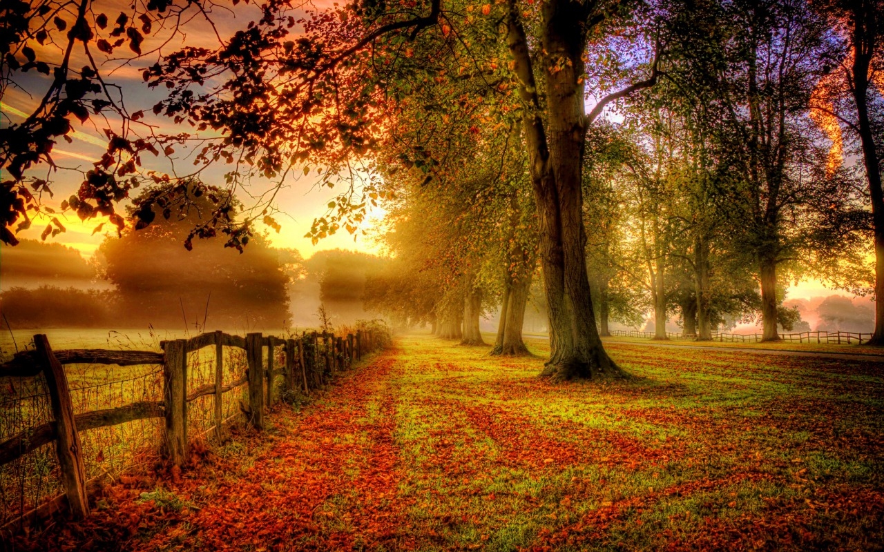 Misty Fall Day Picture, Photo, and Image for Facebook, Tumblr, , and Twitter