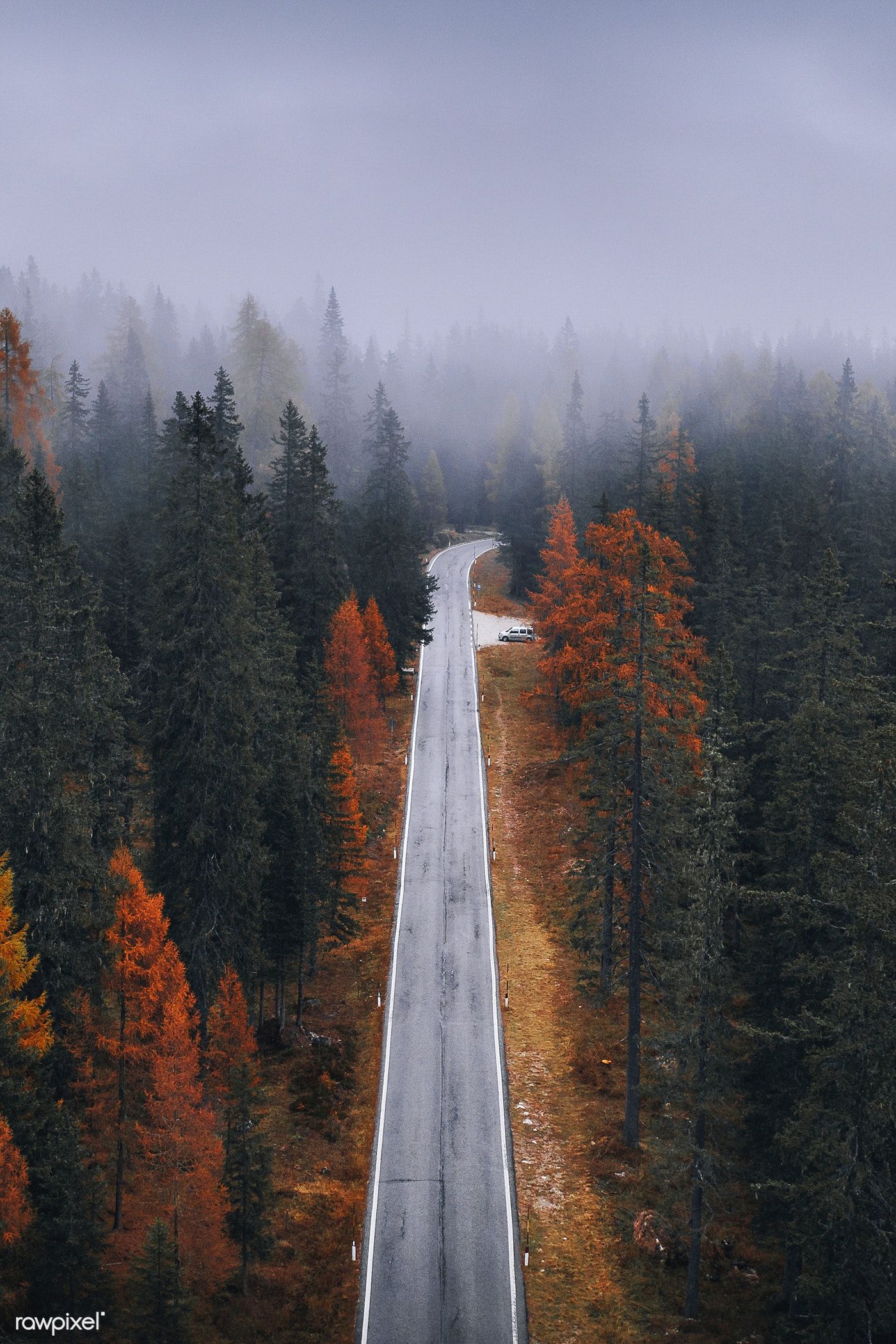 Drone view of a misty coniferous forest in autumn / Luke Stackpoole. Misty forest, Landscape, Spring landscape