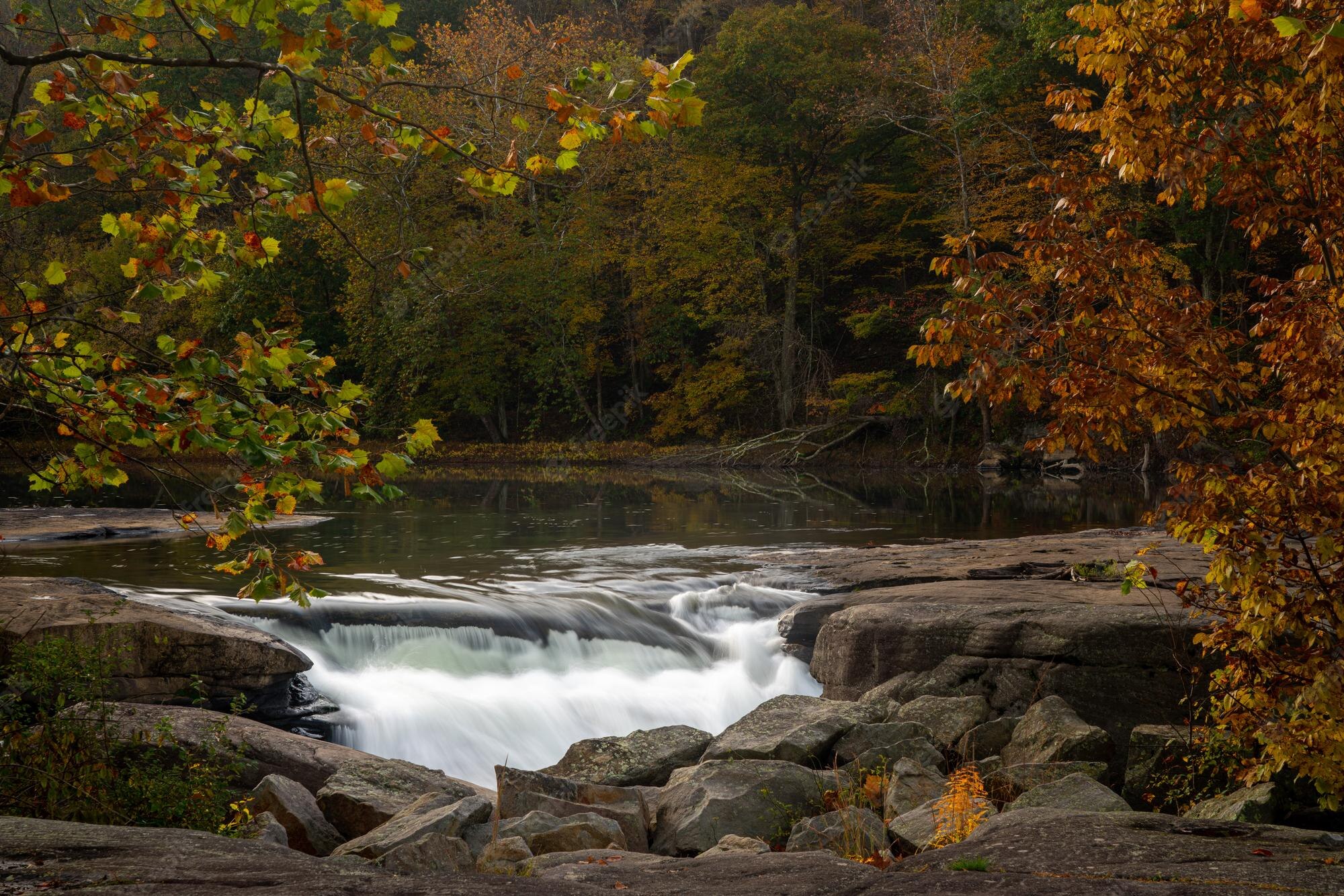 Misty Autumn Day Wallpapers - Wallpaper Cave