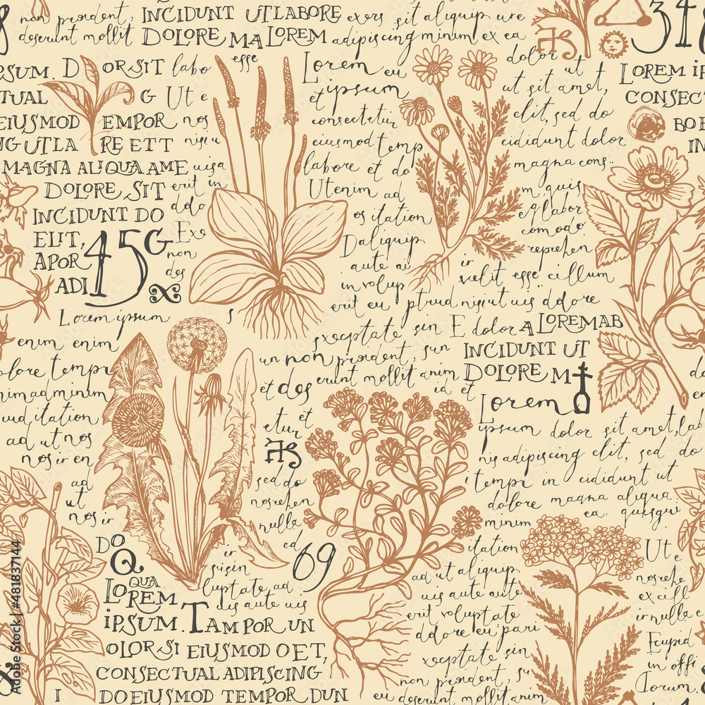 Seamless Pattern With Hand Drawn Medicinal Herbs And Handwritten Text Lorem Ipsum On A Beige Backdrop. Vector Background On The Theme Of Herbal Medicine. Retro Wallpaper, Wrapping Paper, Fabric Design Stock Vector