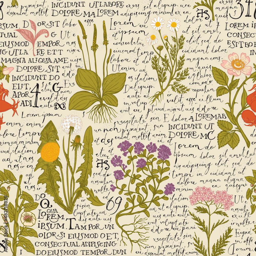 Colored Seamless Pattern With Hand Drawn Medicinal Herbs And Handwritten Text Lorem Ipsum On An Old Paper. Vector Background On The Theme Of Herbal Medicine. Retro Wallpaper, Wrapping Paper Or Fabric Stock Vector
