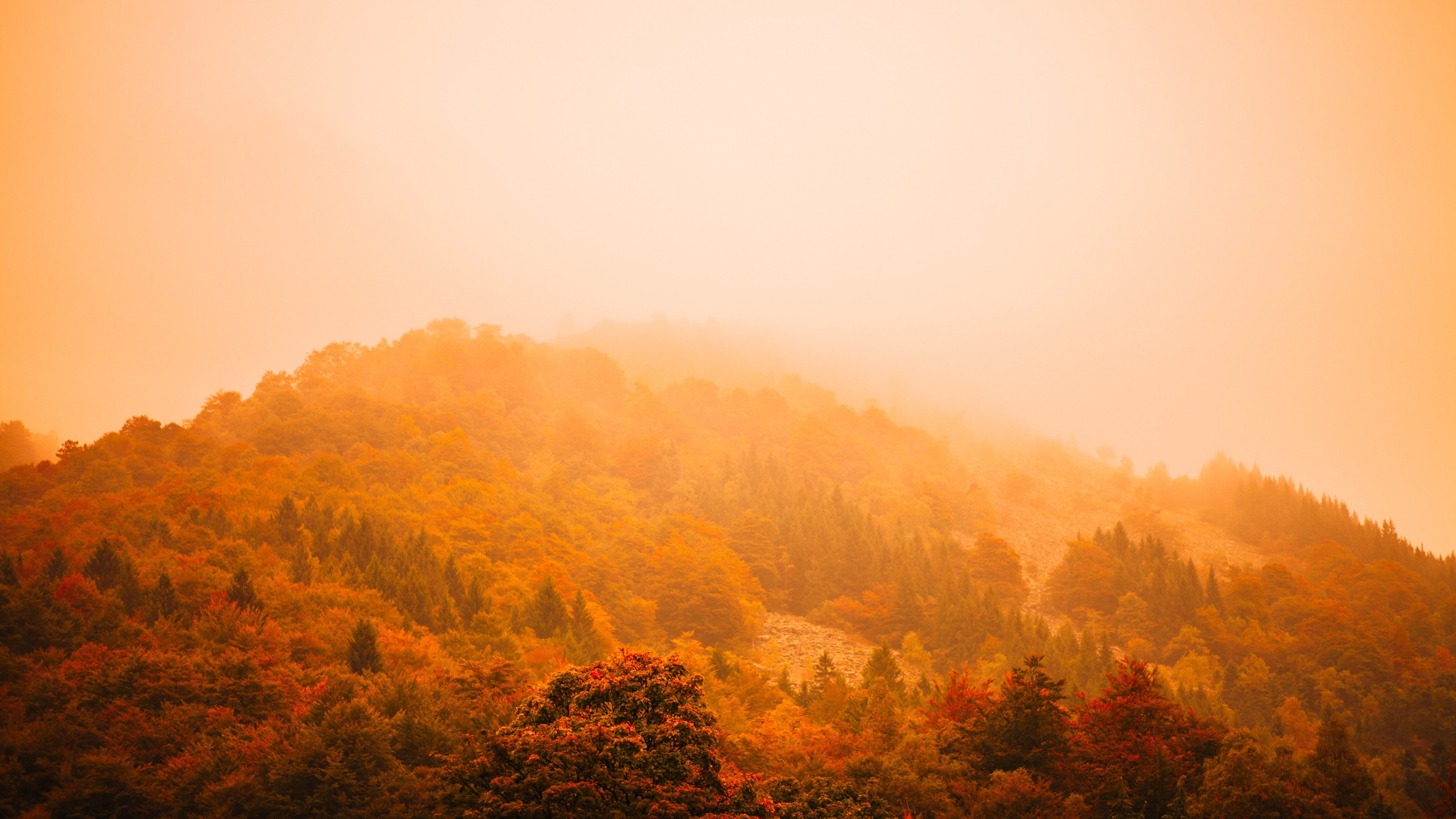 Wallpaper fog, autumn, forest, mountain, 5k, Nature