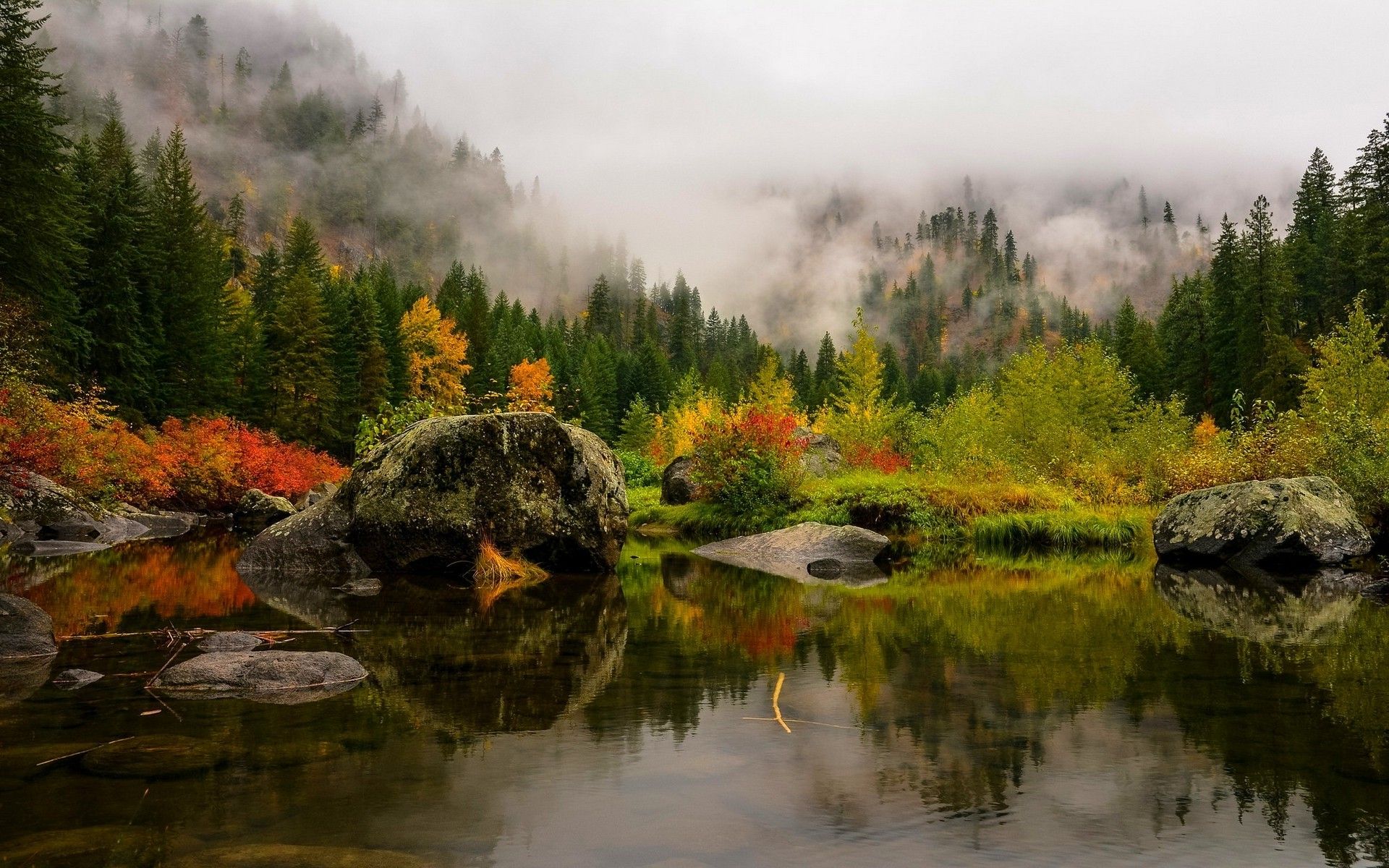 nature, Landscape, Fall, Lake, Mist, Forest, Mountain, Pine Trees, Water, Reflection, Red, Yellow, Green, Leaves Wallpa. Landscape, Forest landscape, Forest falls