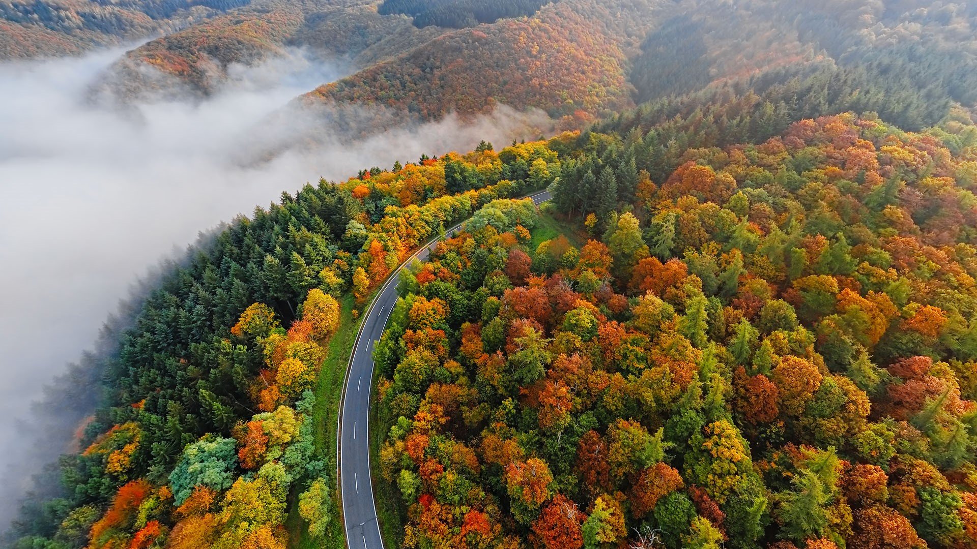 Aerial view of autumn forest road in morning fog, Moselle Valley, Germany. Windows 10 Spotlight Image