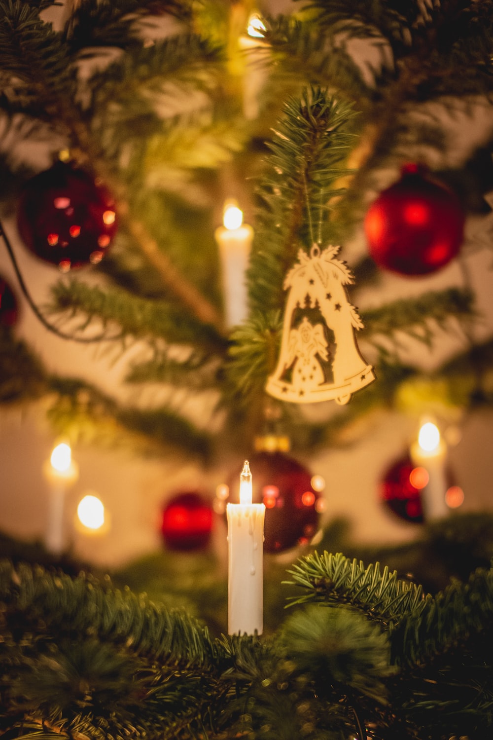 lighted candle on green christmas tree photo