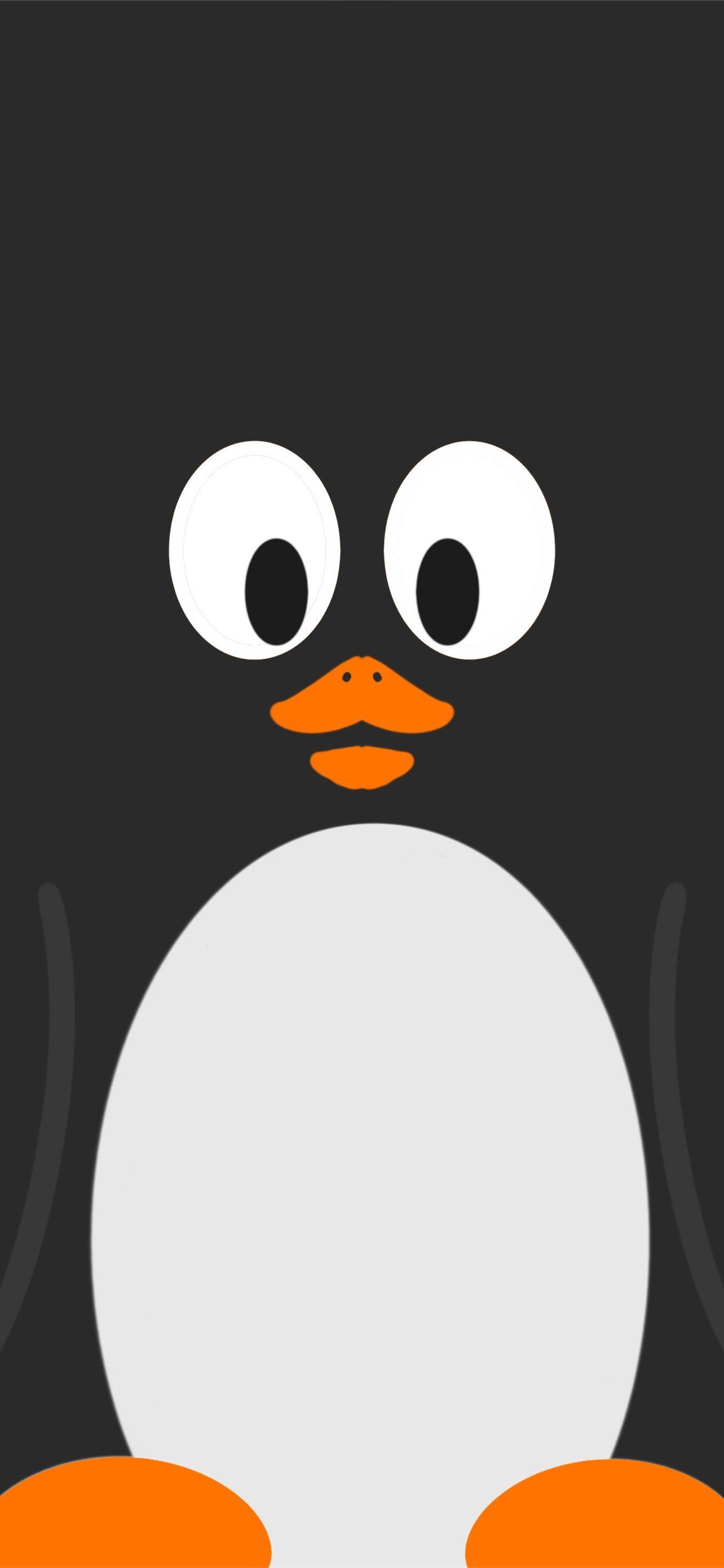 cute penguin wallpaper iphone