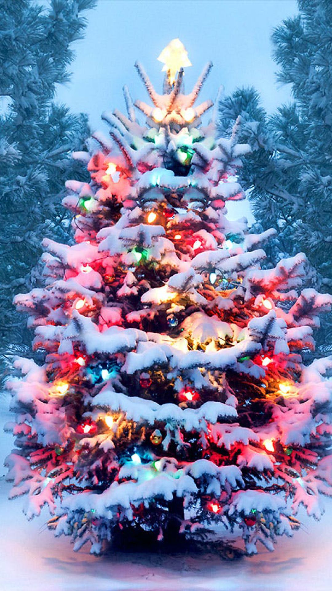Christmas Tree Wallpaper Christmas Tree Background Download