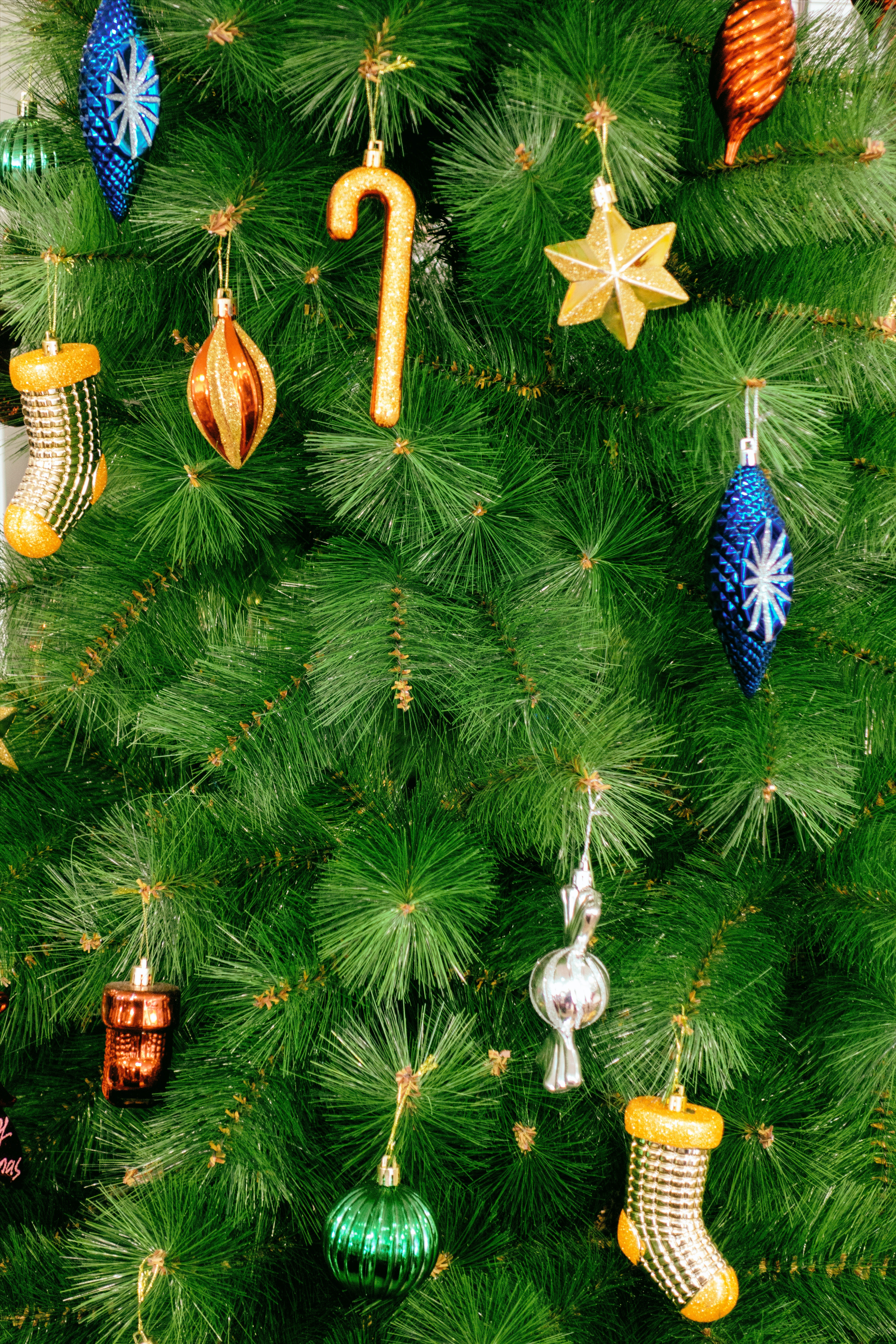 Christmas Tree Background Photo, Download Free Christmas Tree Background & HD Image