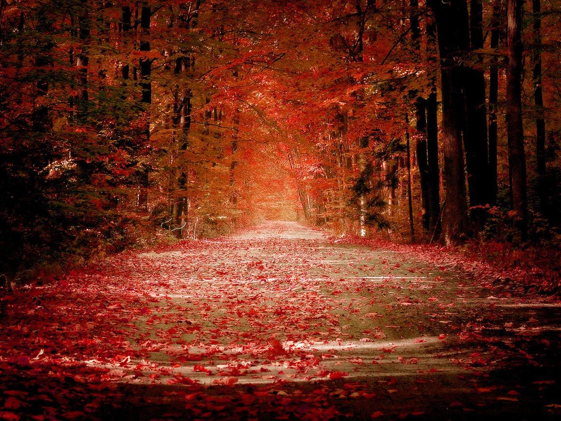Fall Fantasy: Every imaginable color from God's masterstroke