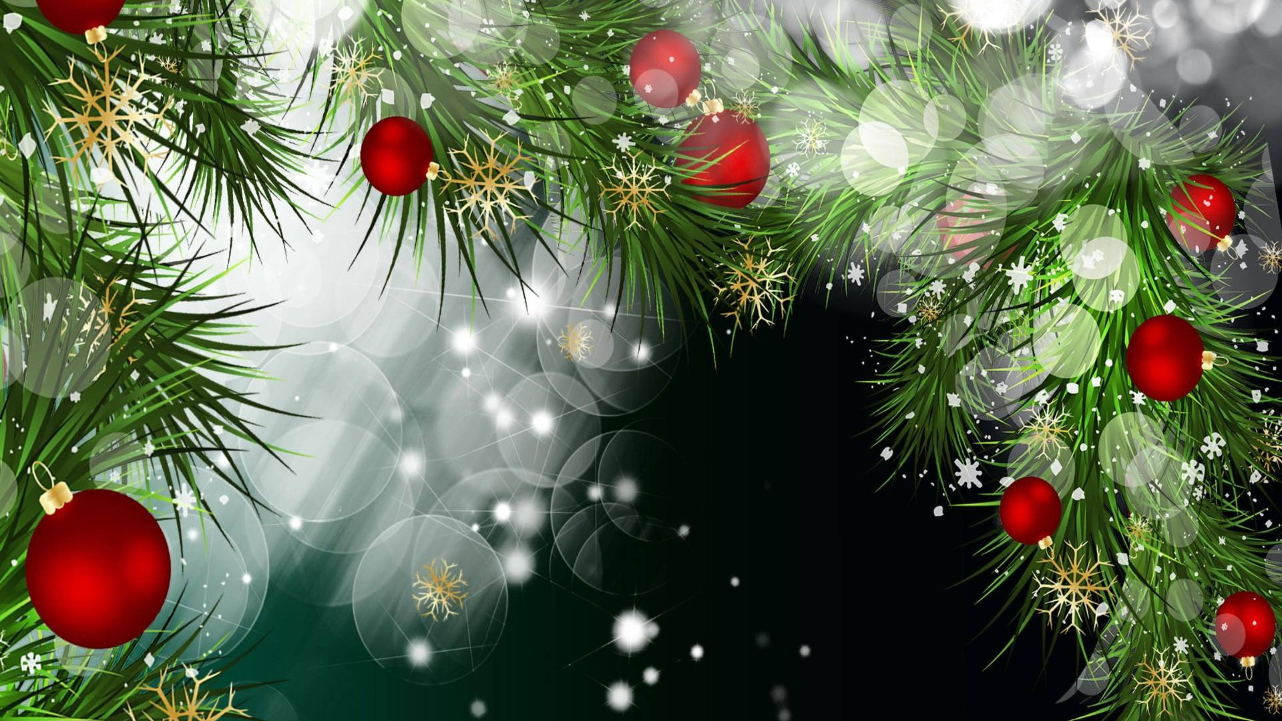 Download Red Christmas Balls At Green Spruce Wallpaper