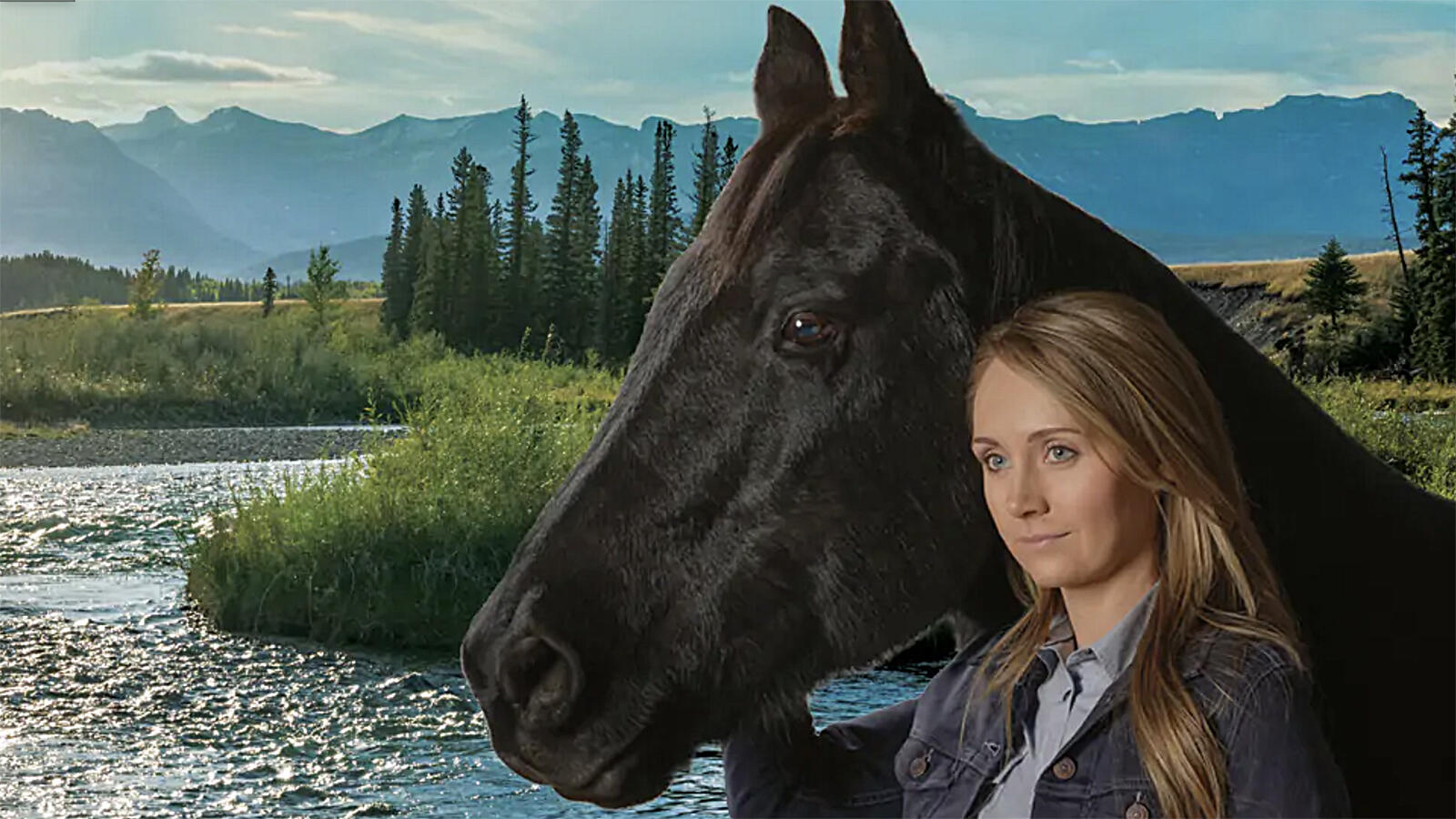 Heartland Amy And Spartan Wallpapers - Wallpaper Cave