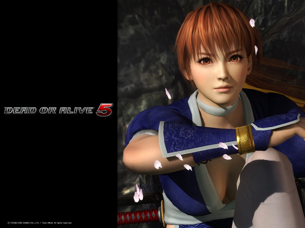 Download Dead or Alive 5 Wallpaper Push Start