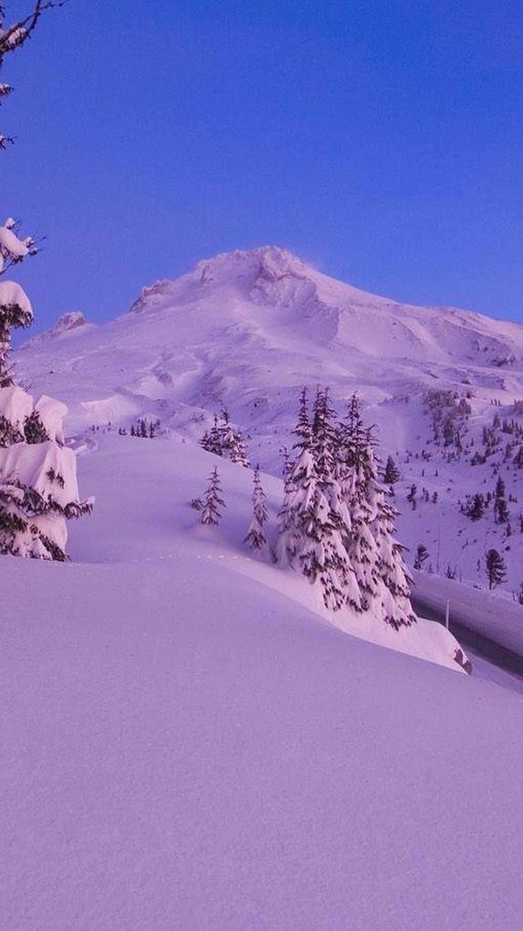 Winter Aesthetic Cell Phone Wallpaper HD 2024