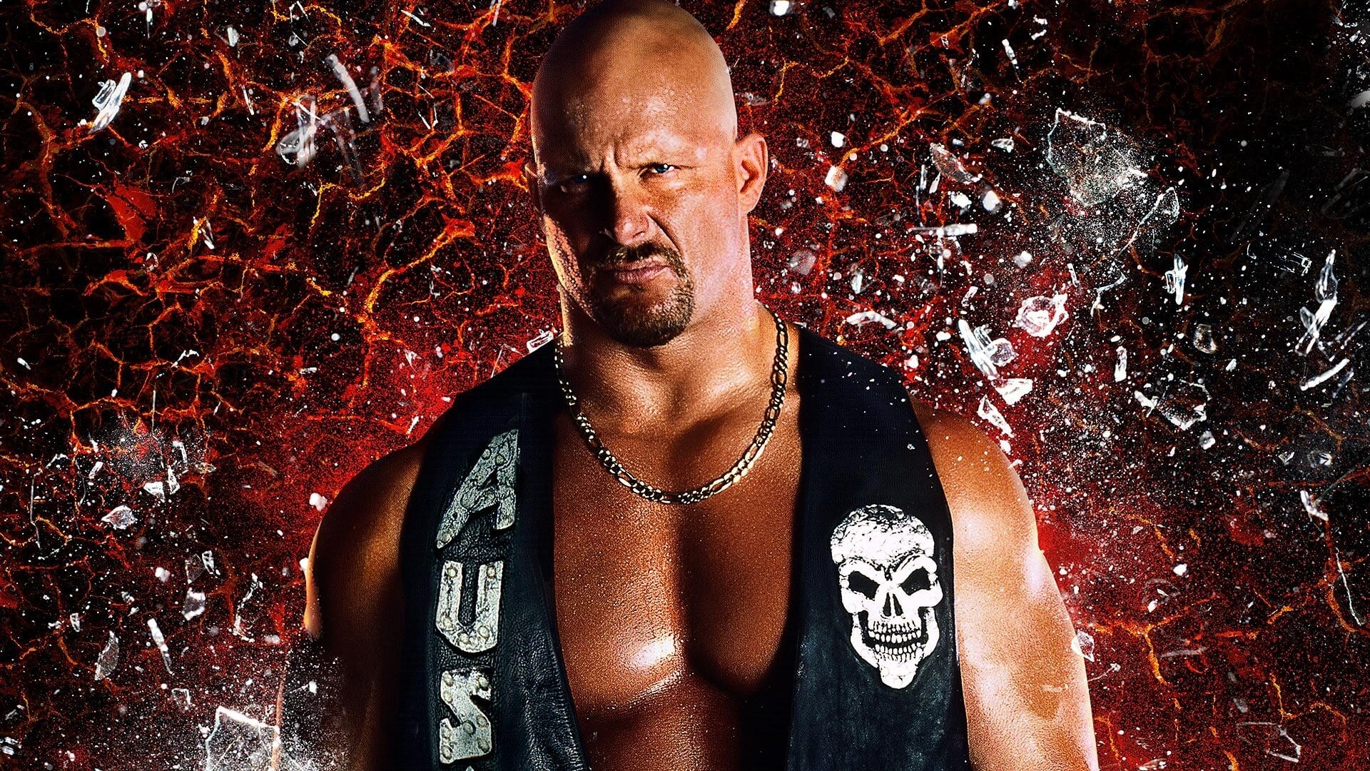 WWE Stone Cold Steve Austin? (2002)