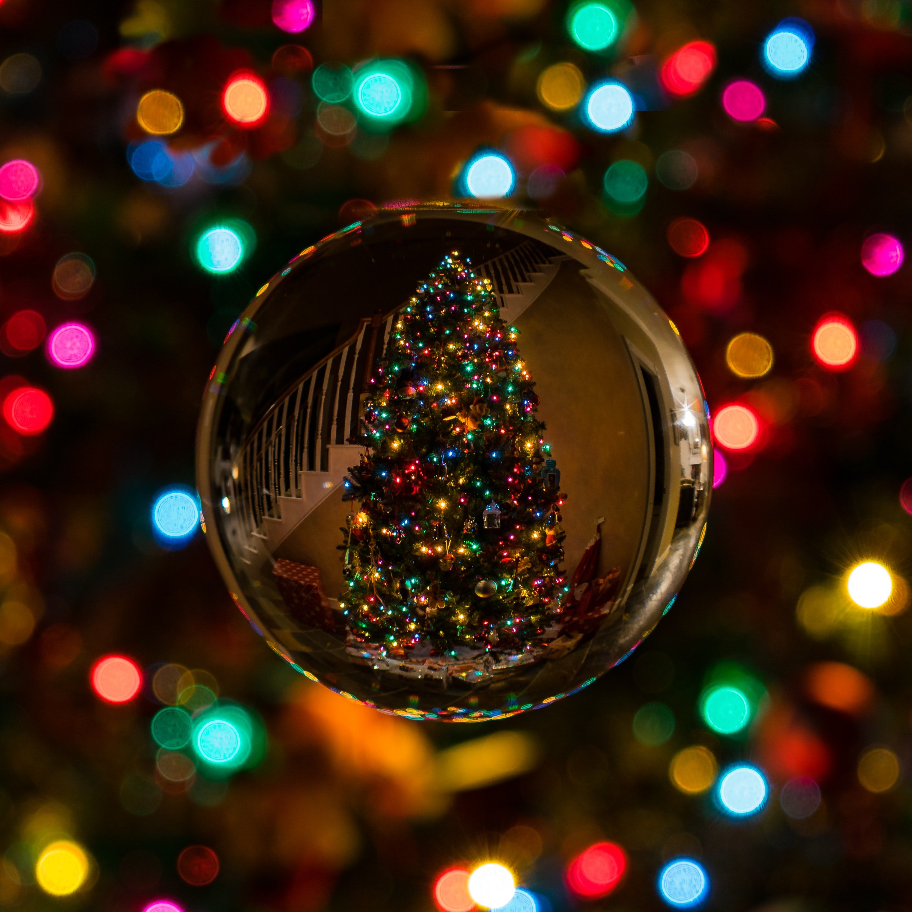 Christmas Lights Photo, Download Free Christmas Lights & HD Image
