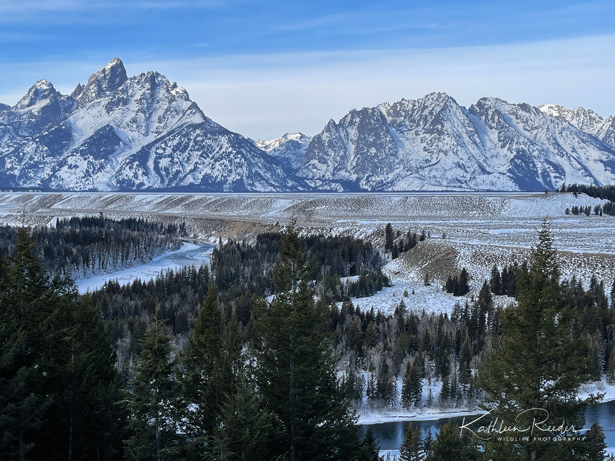 Winter Wildlife in Grand Teton National Park. Photography Workshop with Kathleen Reeder