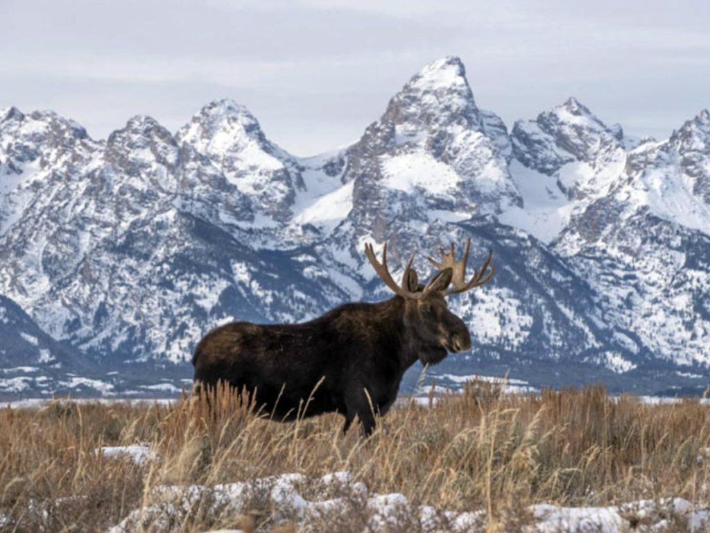Foundation Gifts $6.3 Million to Grand Teton in 2020 Teton National Park Foundation. Jackson, WY