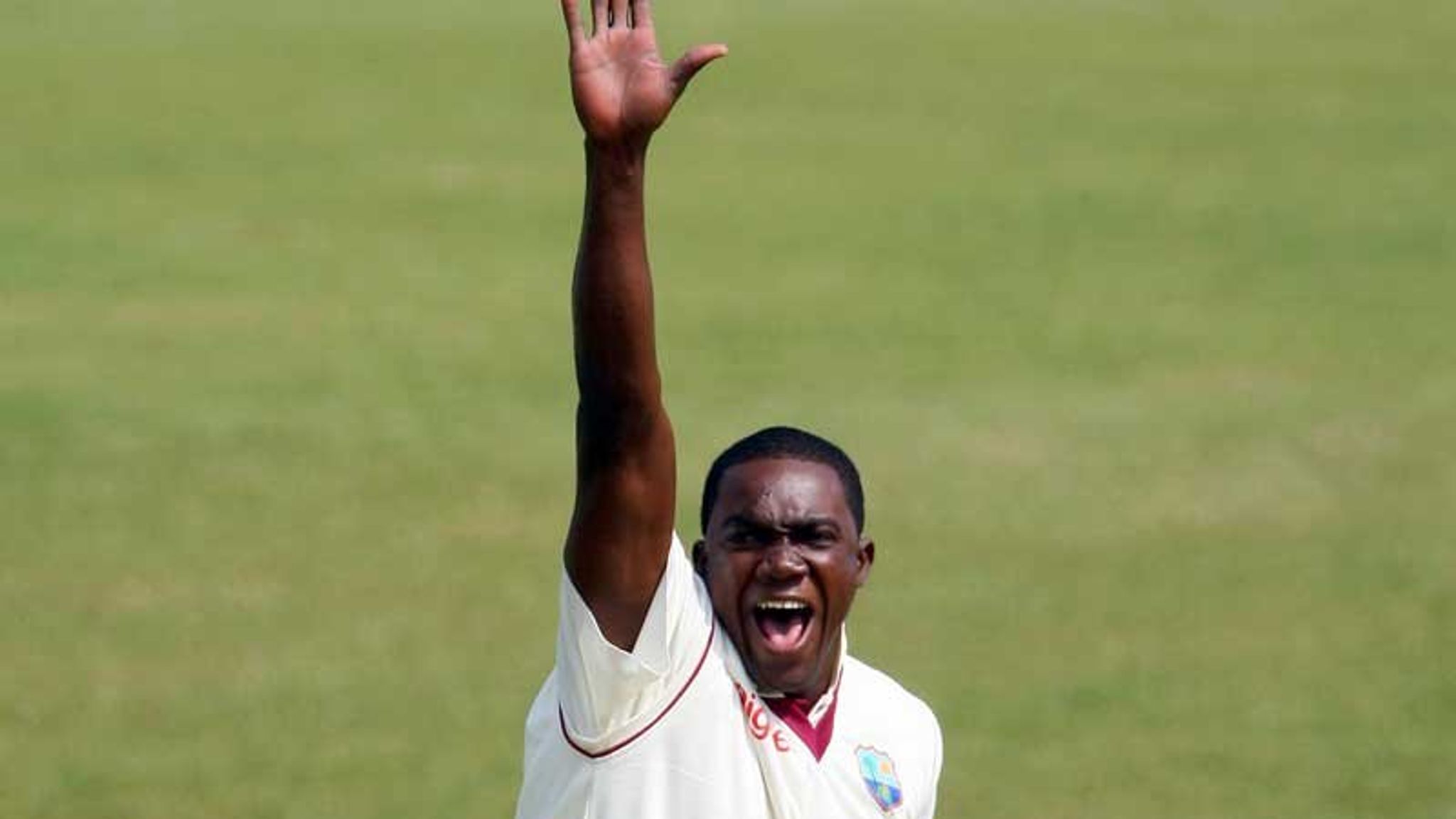 Taylor sounds warning call