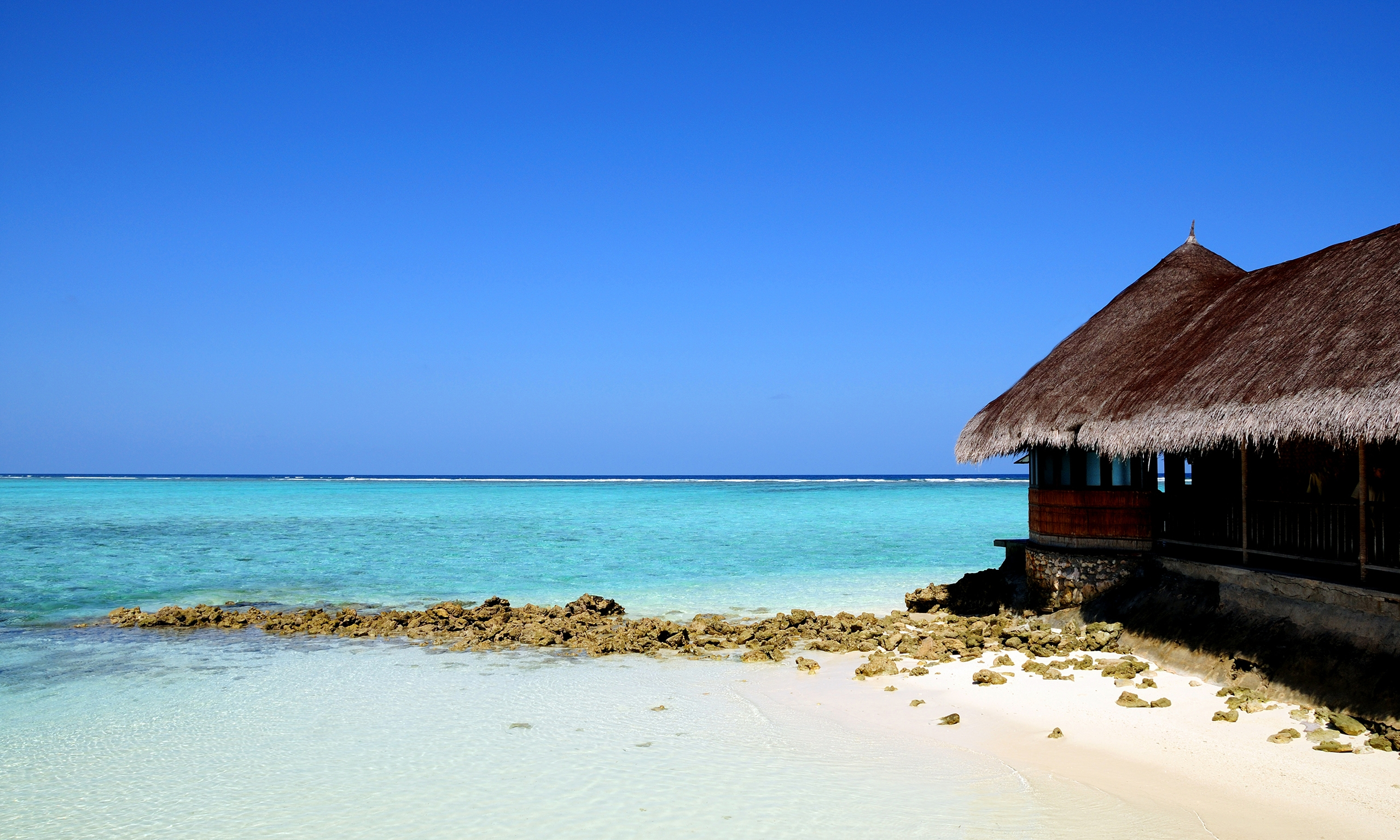 Beautiful House at the Beach