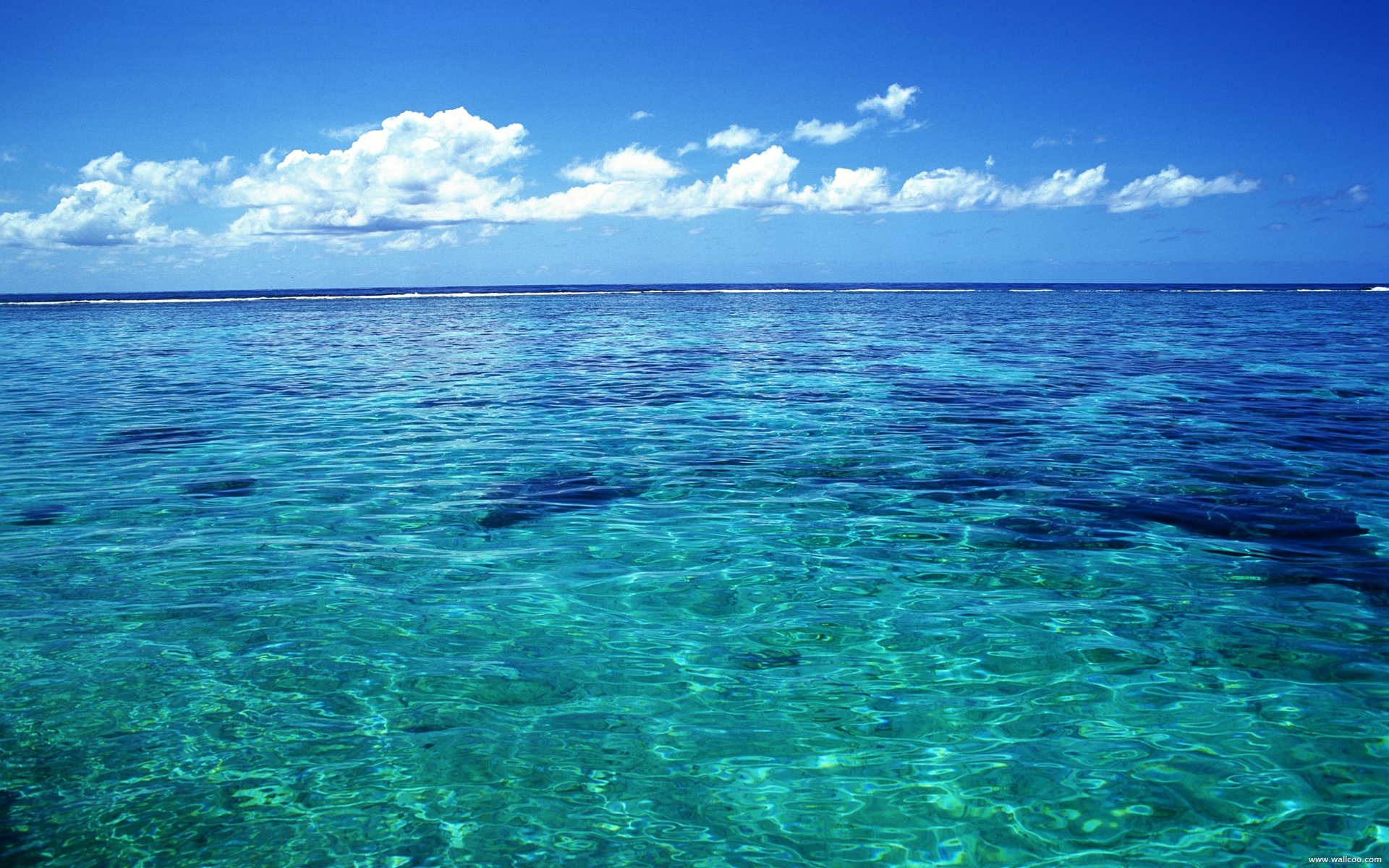 Tahiti crystal clear sea water wallpaper
