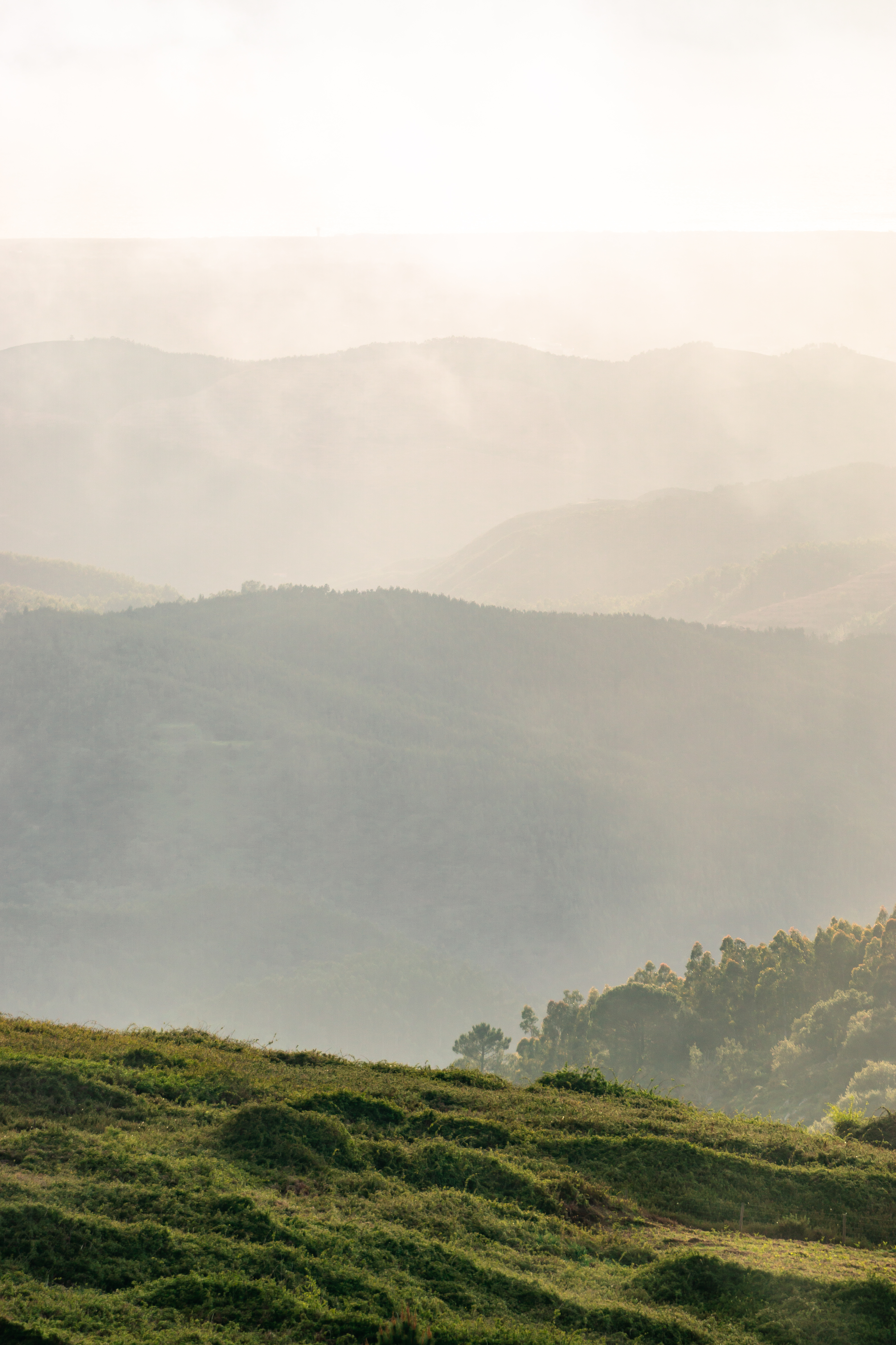 Hills in Countryside of Southern Portugal Vertical Free