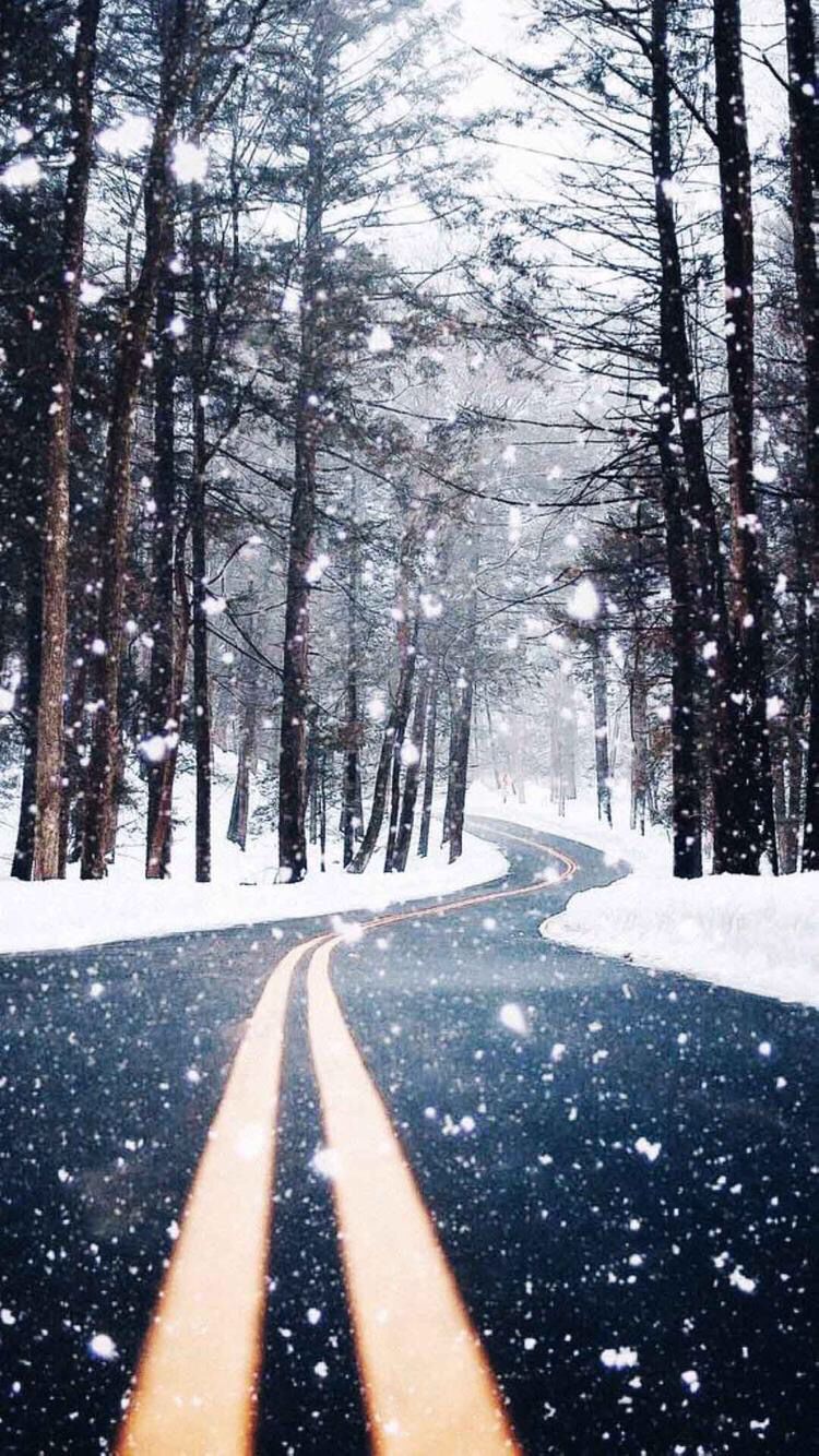 Winter Background Wallpaper