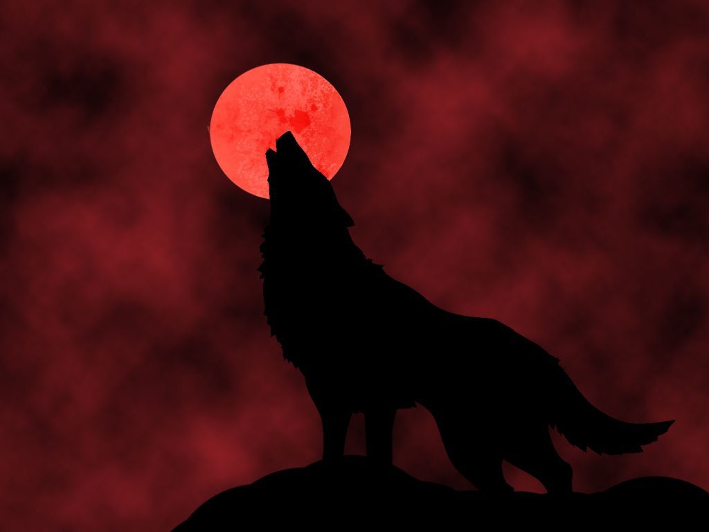 Red Moon Wolf Wallpaper Free Red Moon Wolf Background