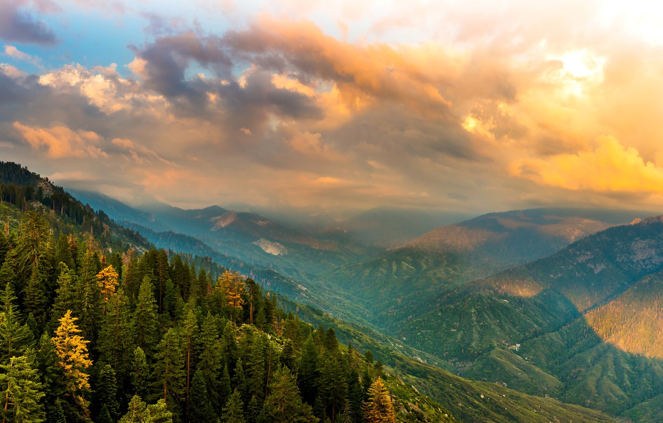Wallpaper forest, clouds, mountains, CA, panorama, USA, Kings Canyon National Park image for desktop, section пейзажи