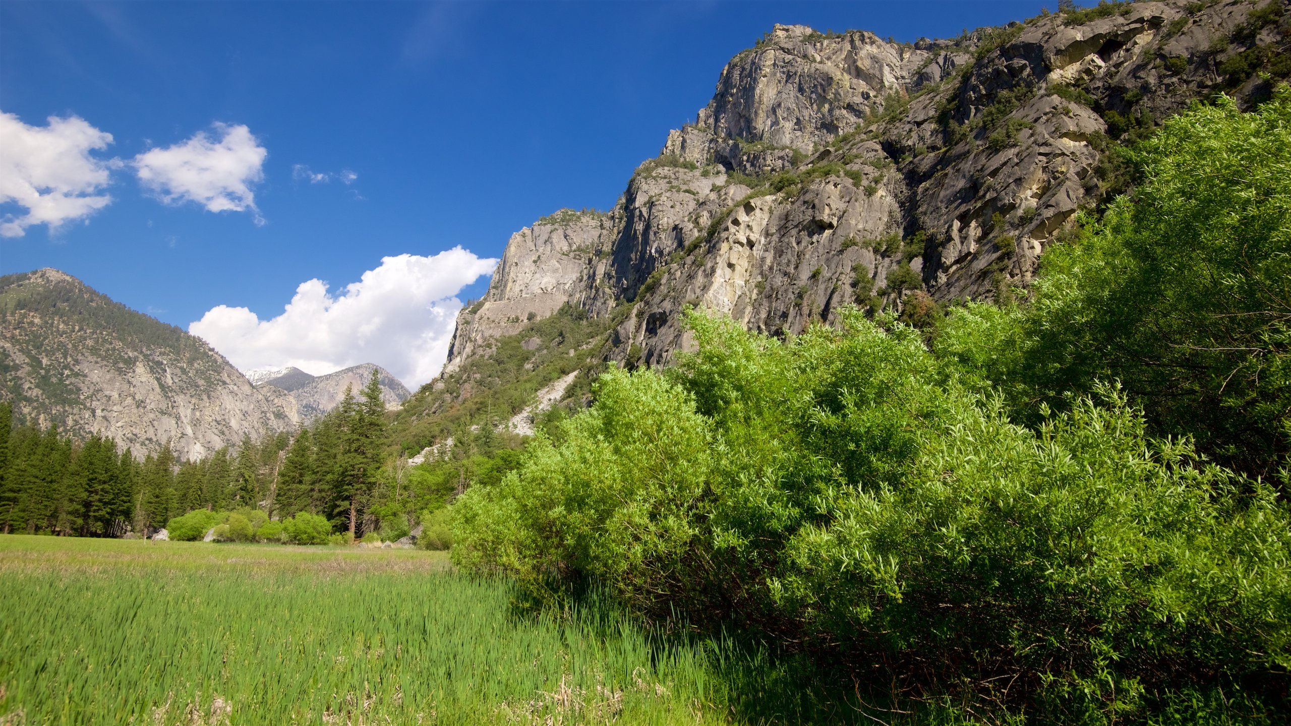 Kings Canyon National Park, US Vacation Rentals: house rentals & more