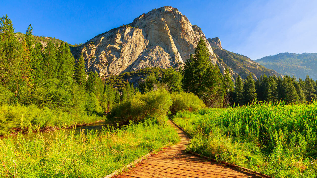 Sequoia & Kings Canyon National Park Travel Guide: Everything You Need to Know's Tracks