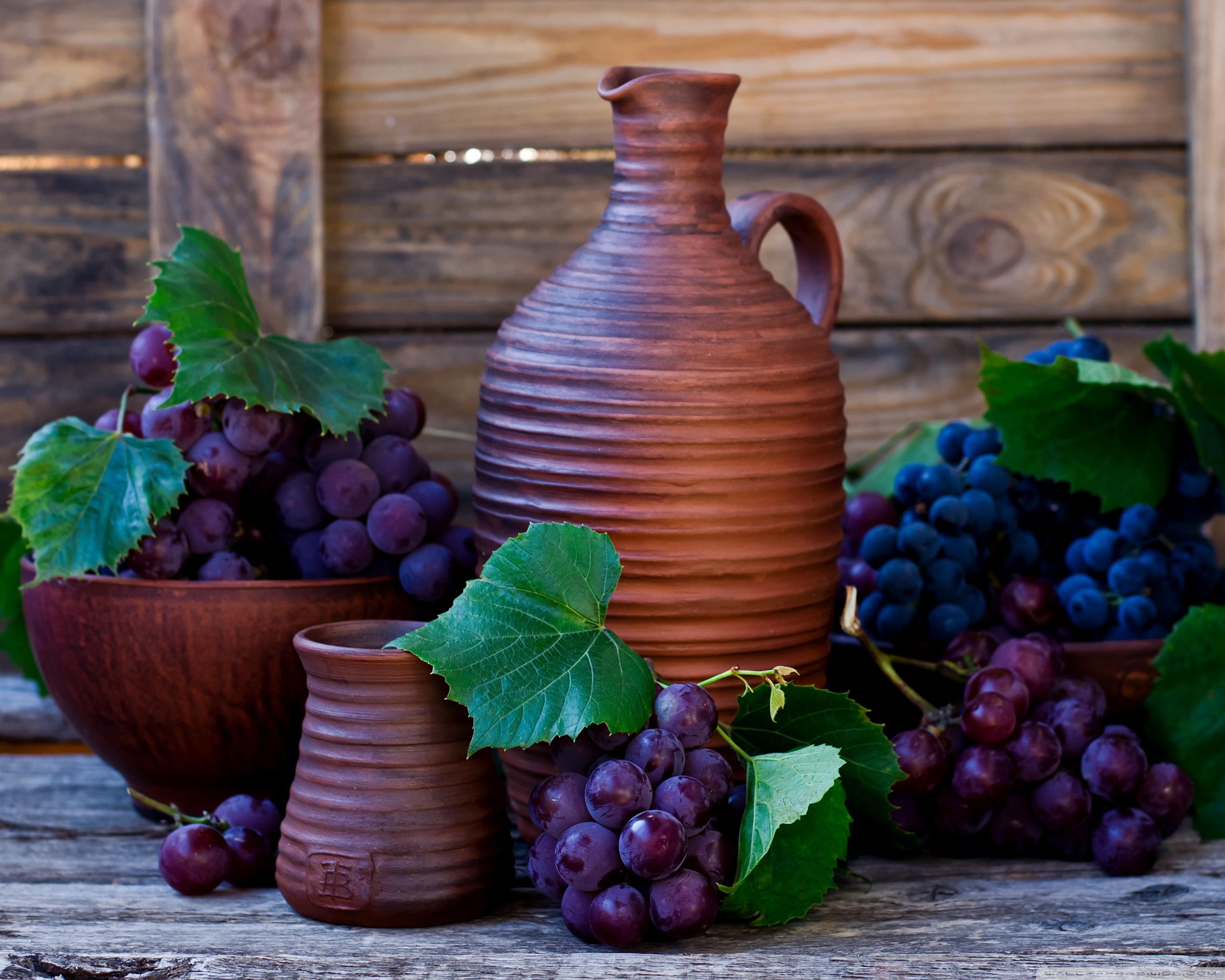 Grapes Fruits, Autumn Ultra HD Desktop Background Wallpaper for 4K UHD TV, Widescreen & UltraWide Desktop & Laptop, Tablet