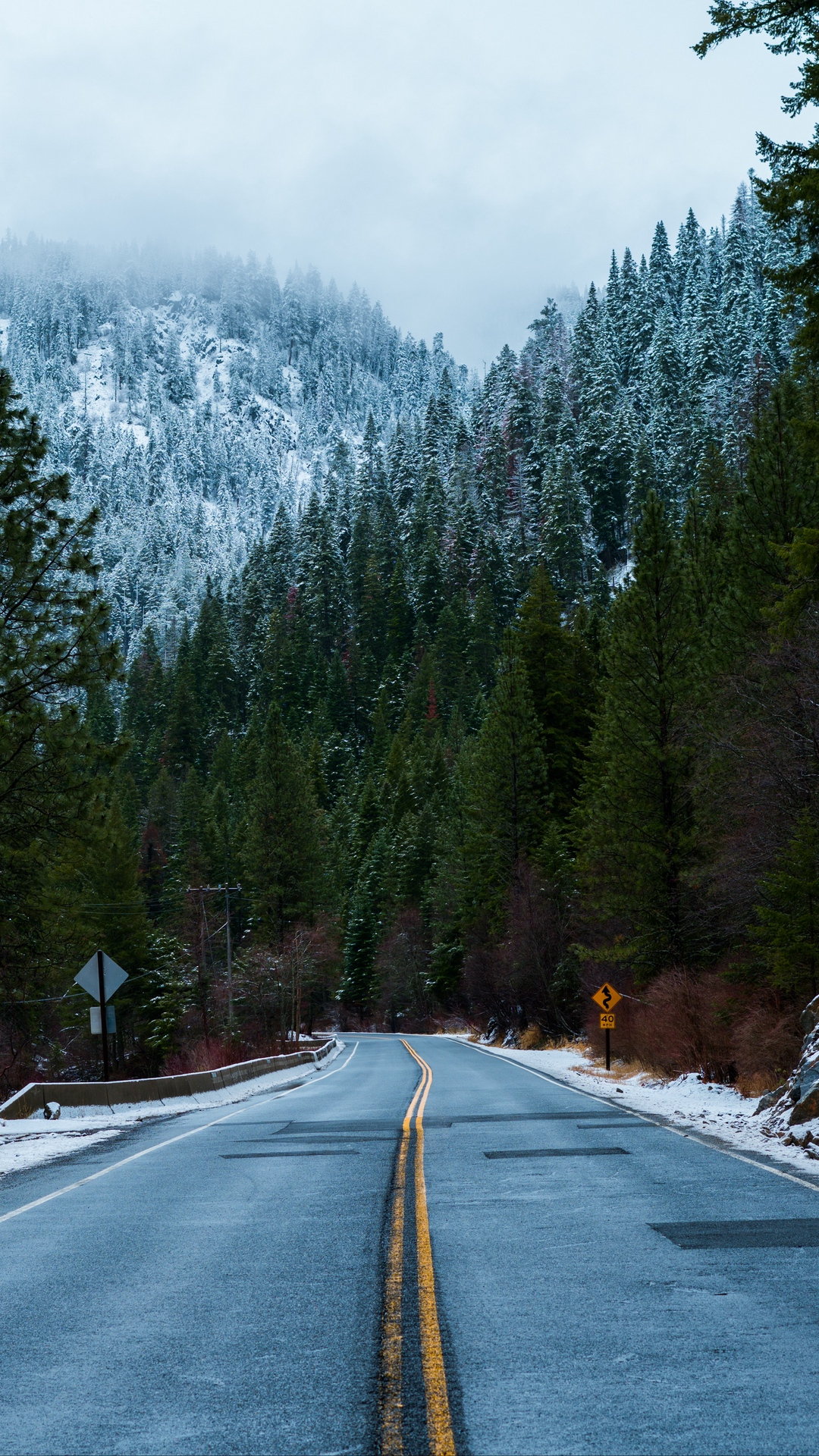 Forest Road Snow Winter Wallpaper - [1080x1920]