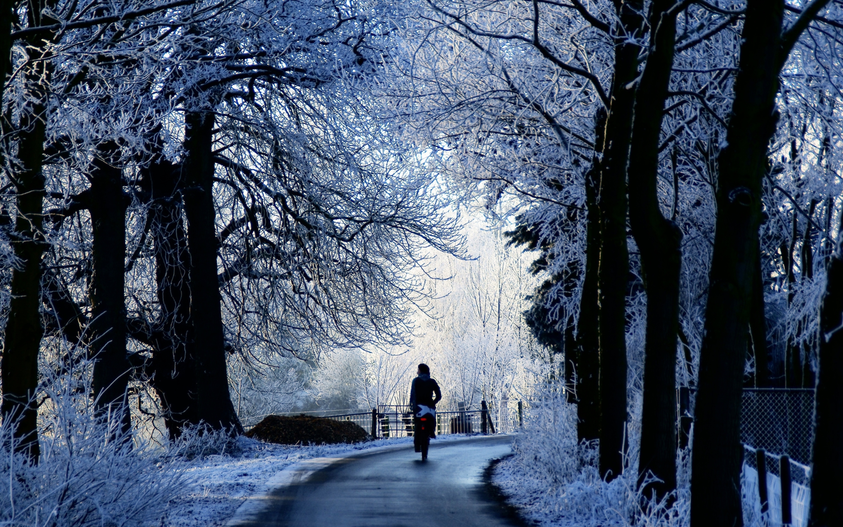 Winter Road Scene MacBook Air Wallpaper Download