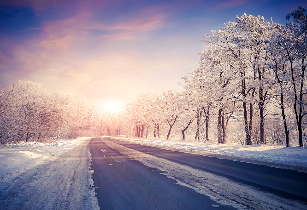 Wallpaper Winter Nature Snow Roads sunrise and sunset Trees