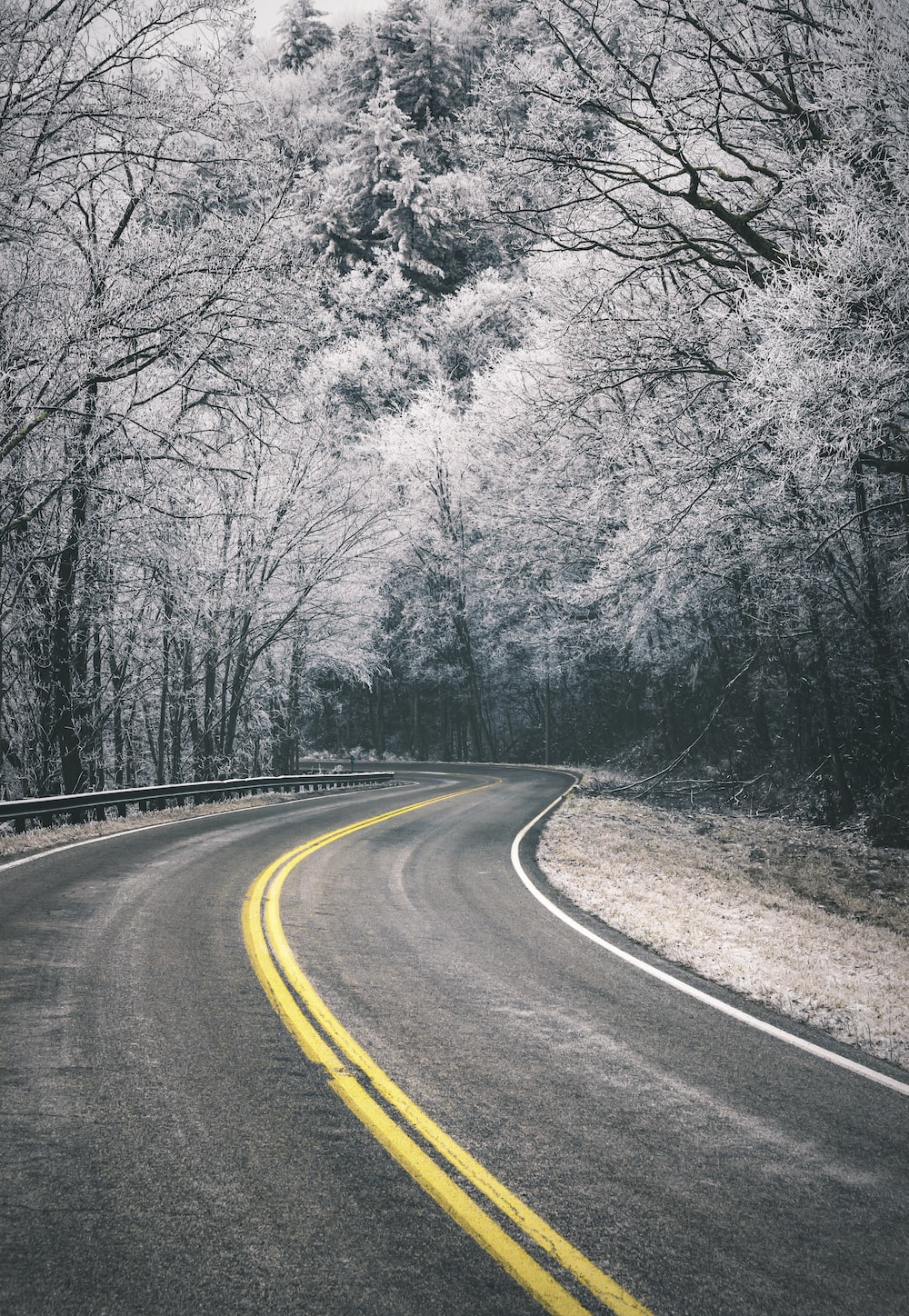 Winter Road Picture. Download Free Image