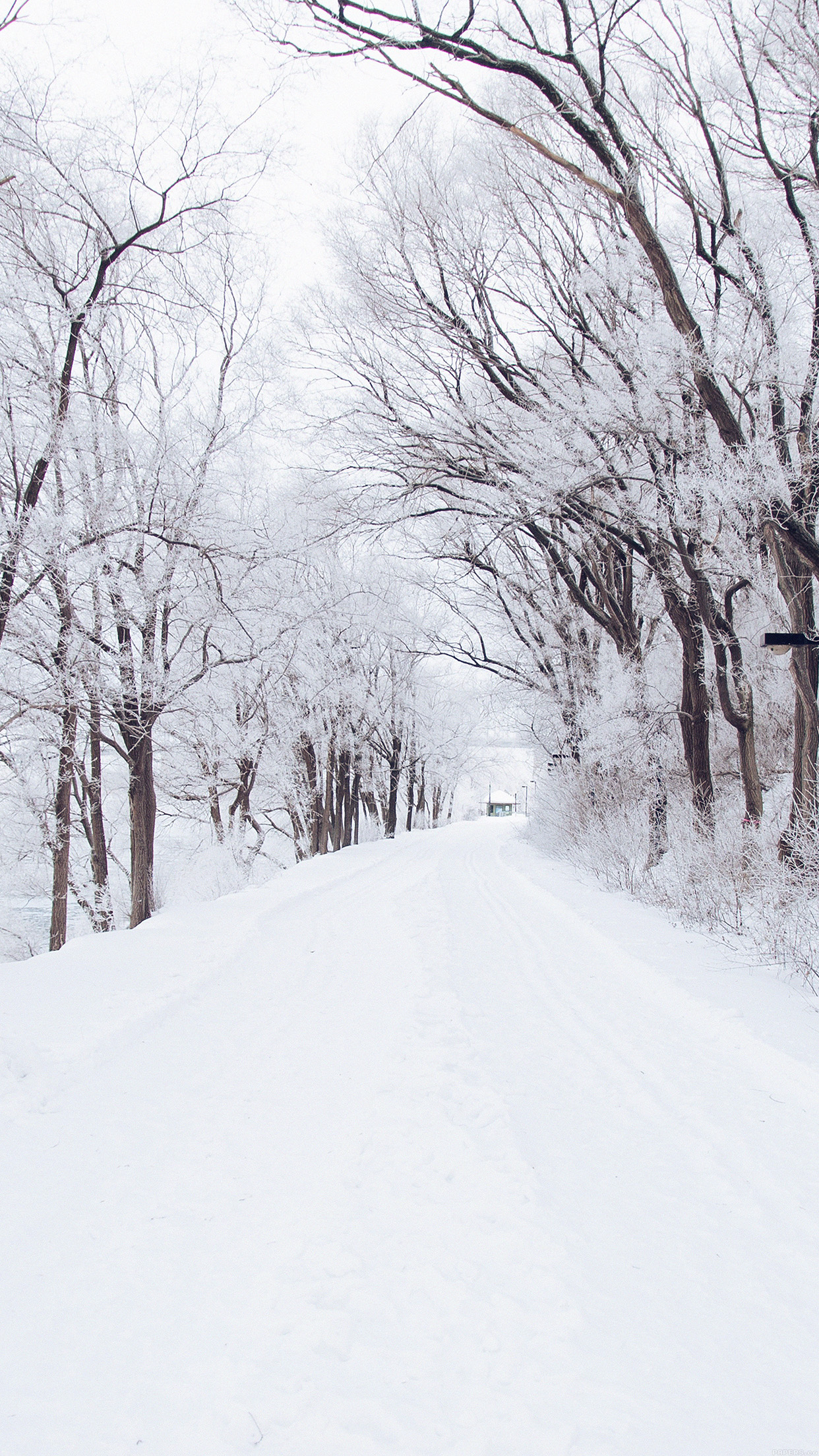 winter road romantic nature mountain snow white