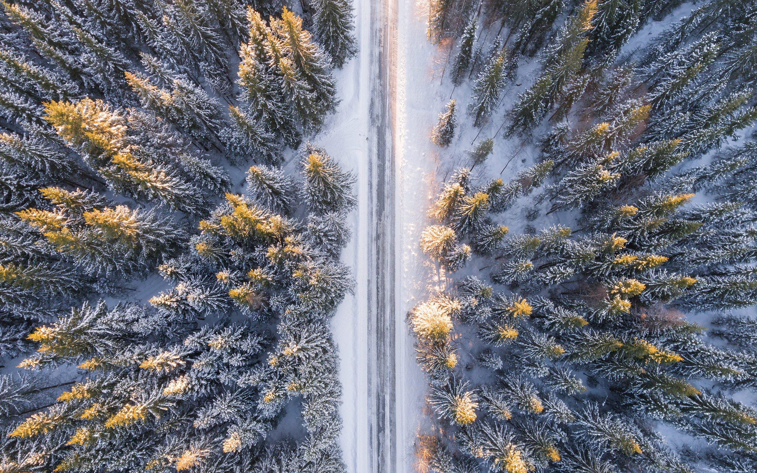 Daily Wallpaper: Winter Road. I Like To Waste My Time
