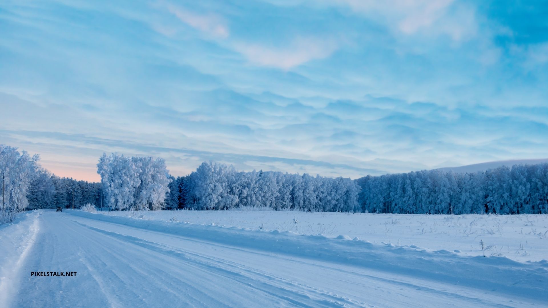 Winter Wallpaper HD Free Download