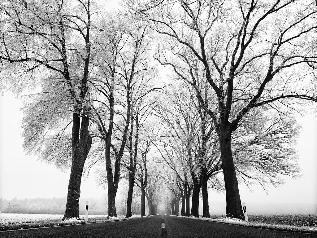 On the Road to Winter Wonderland. .straight ahead, just b