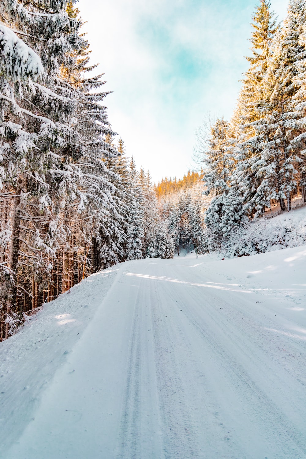 Snow Road Picture. Download Free Image