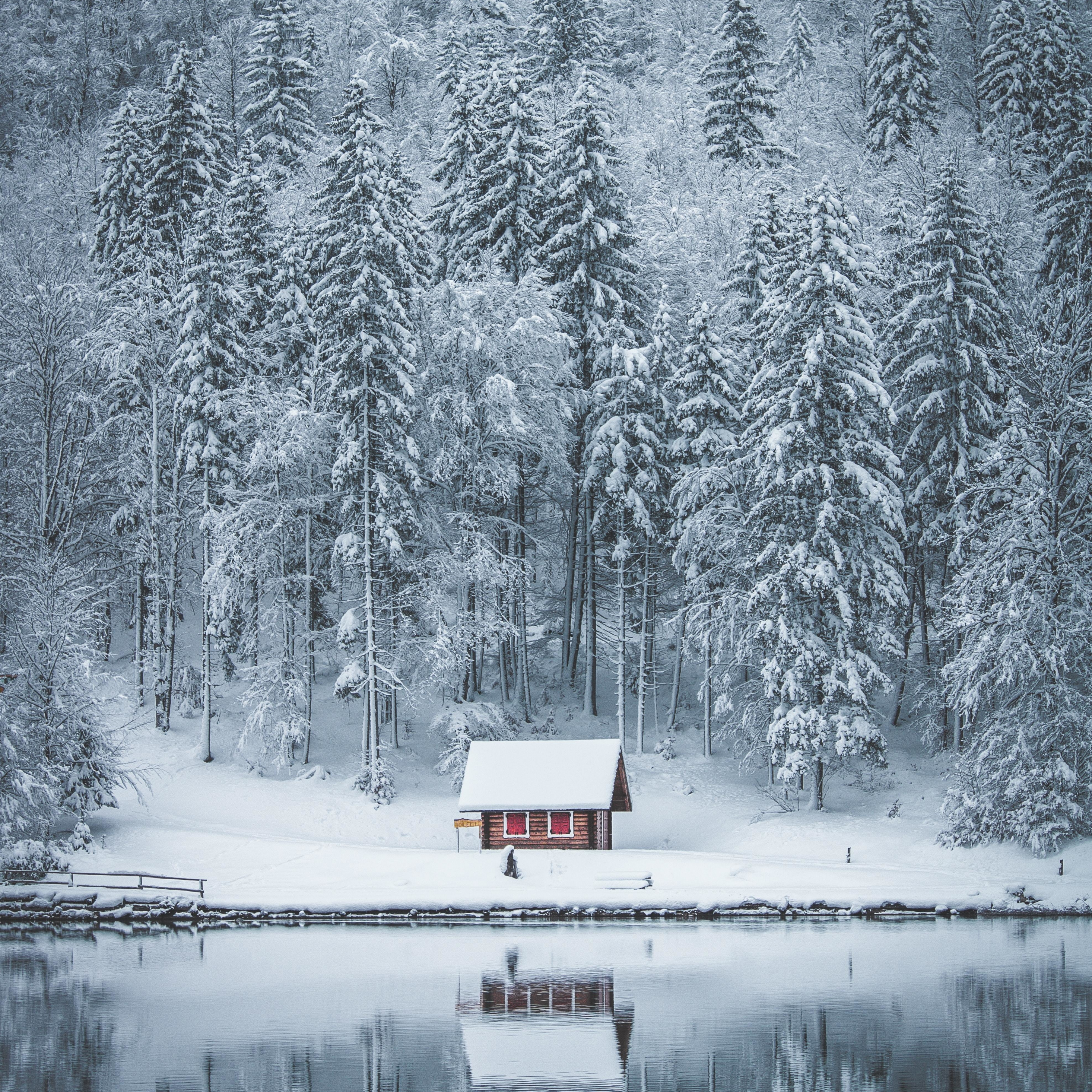 Download wallpaper 2932x2932 winter, house, lake, frozen lake, forest, nature, ipad pro retina, 2932x2932 HD background, 23636