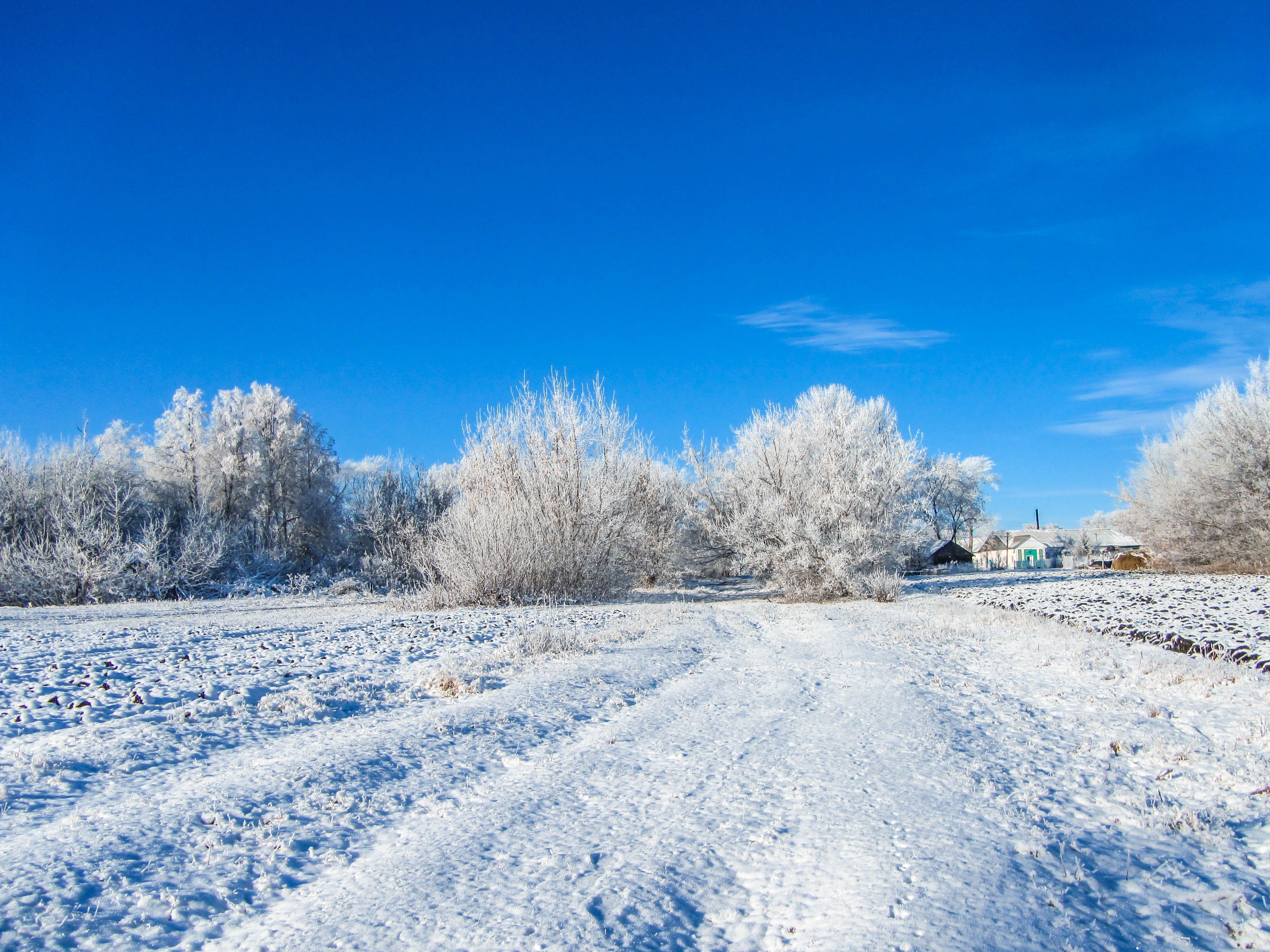 Rural Winter 4k Wallpapers - Wallpaper Cave