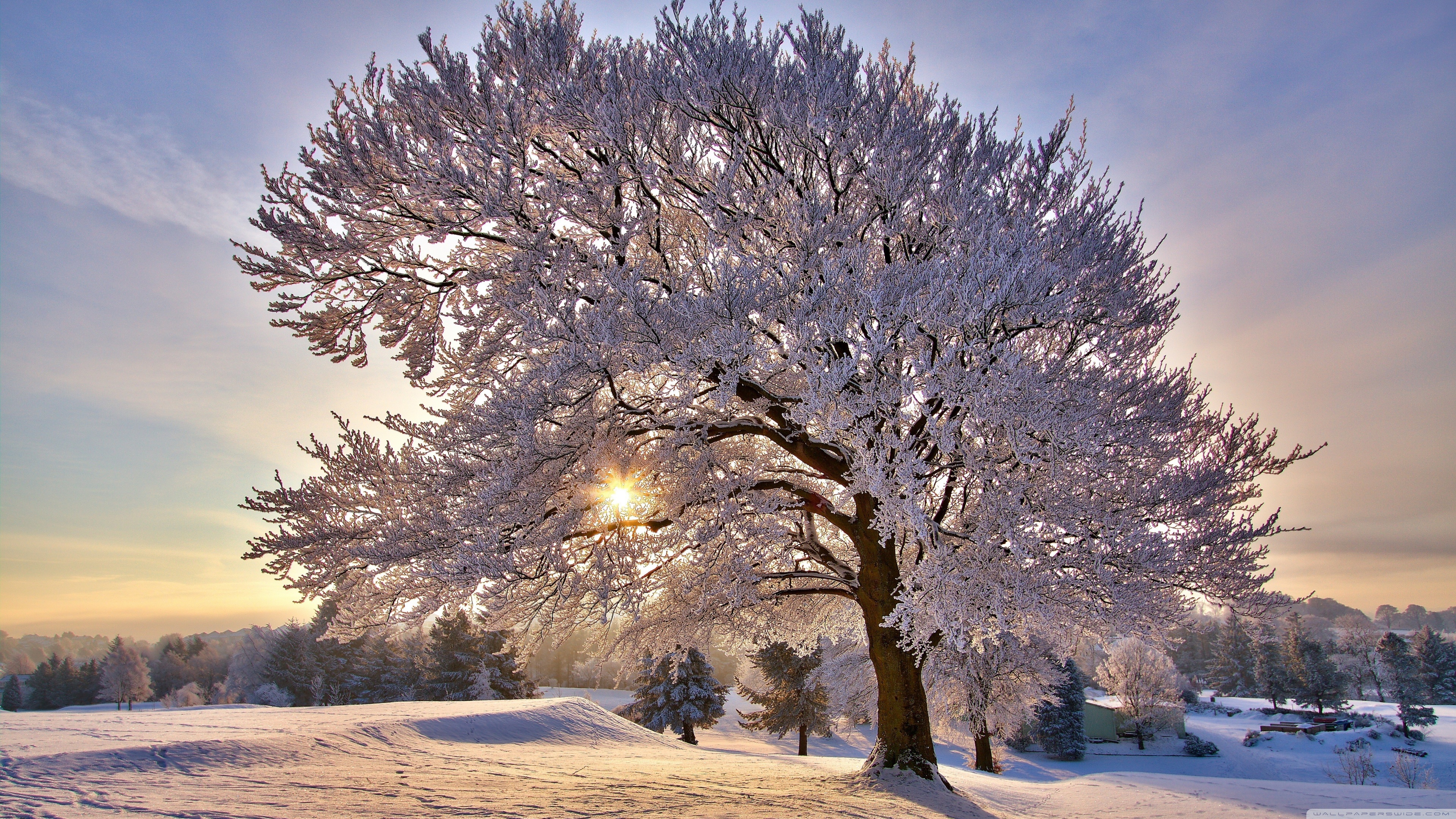 Beautiful Winter Morning Ultra HD Desktop Background Wallpaper for 4K UHD TV, Multi Display, Dual Monitor, Tablet